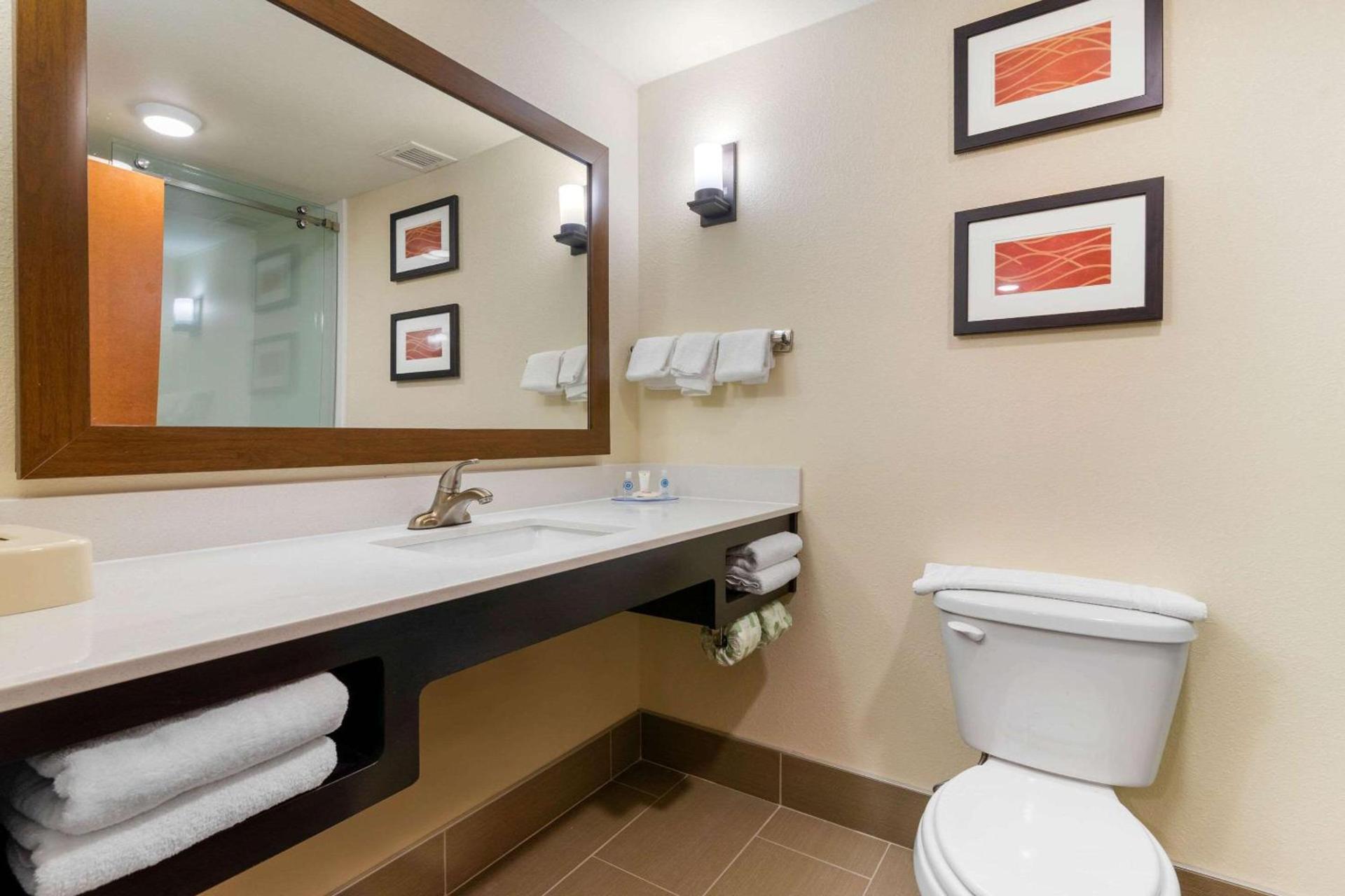 Comfort Inn & Suites Macon West photo 9