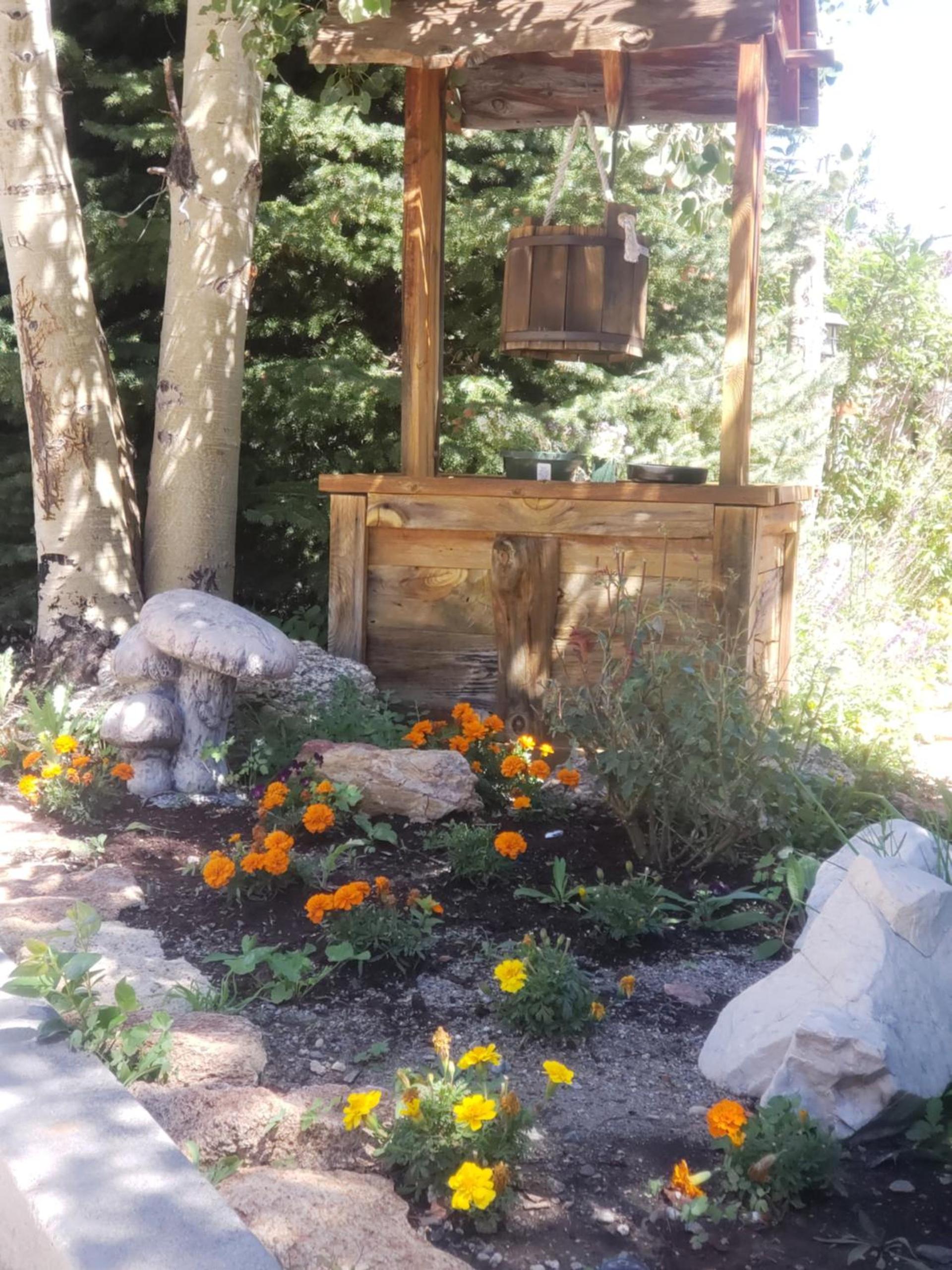 Browns Canyon Inn photo 94
