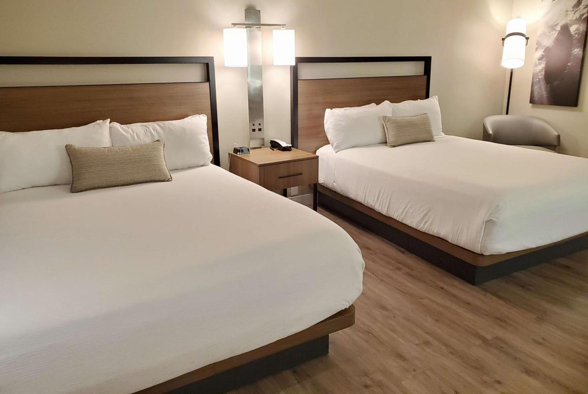 Wyndham Garden San Diego near SeaWorld photo 16