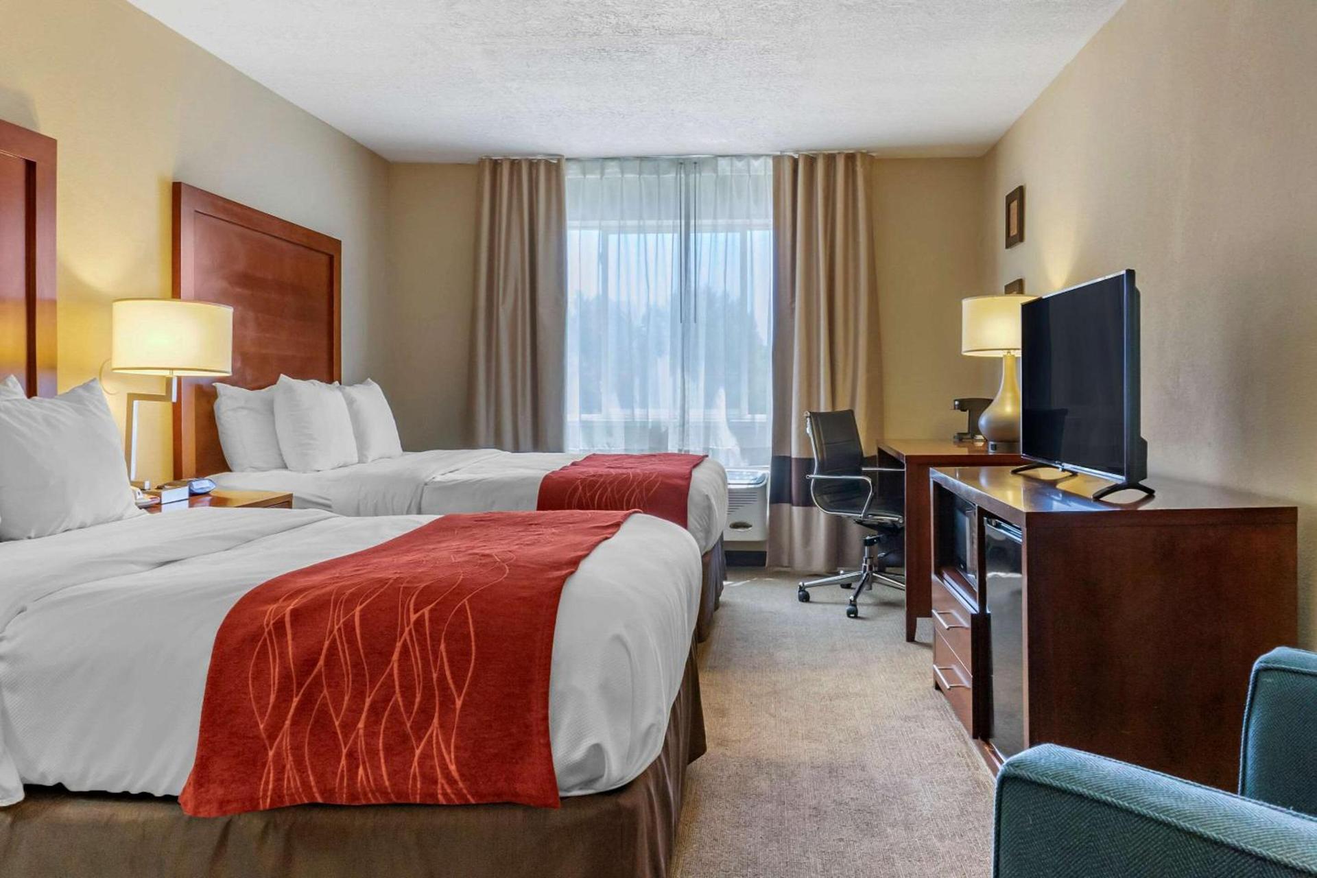 Comfort Inn Albuquerque Airport photo 11