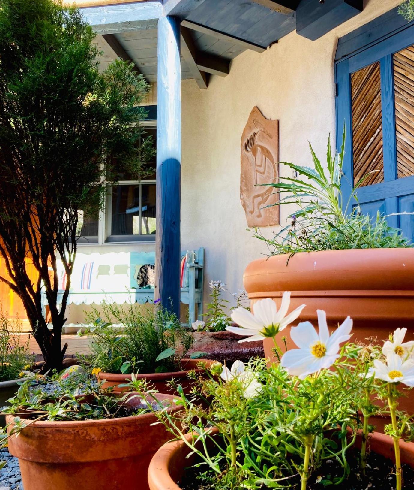 Guadalupe Inn photo 6