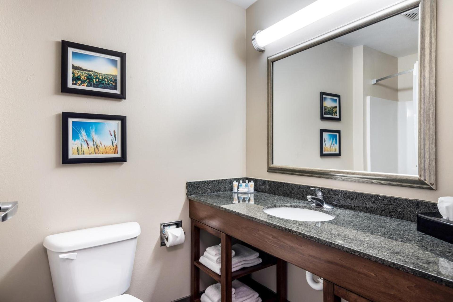 Comfort Inn Bonner Springs Kansas City photo 17