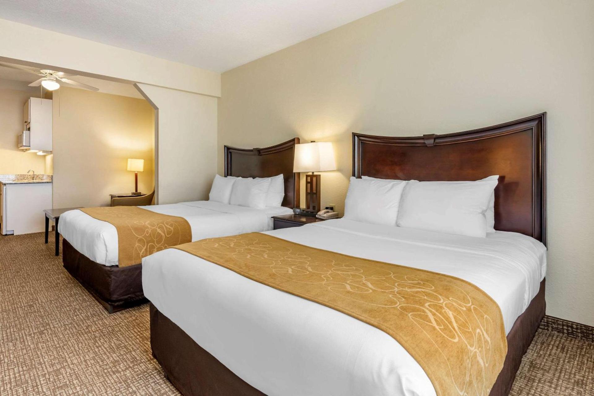 Comfort Suites Maingate East photo 16