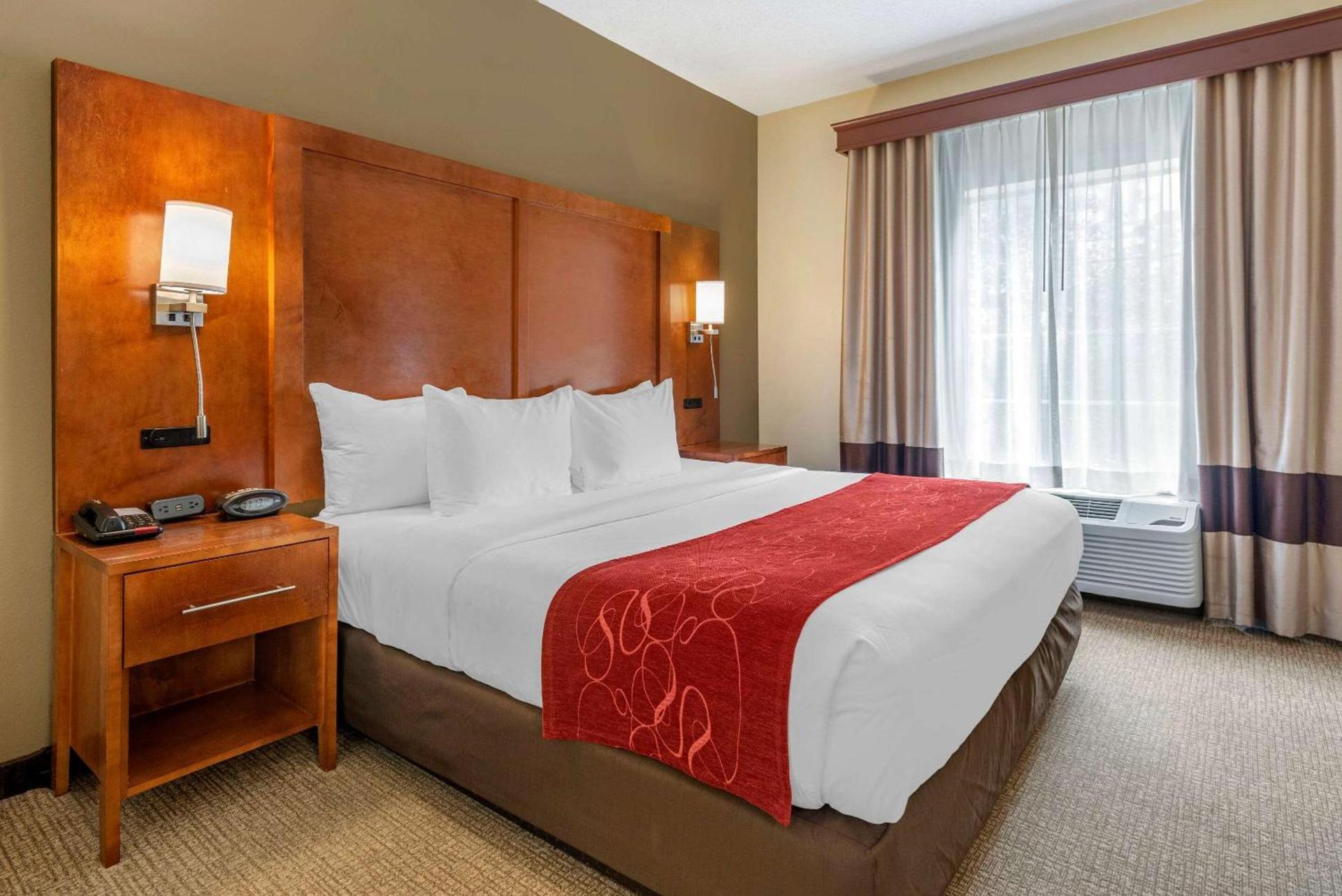 Comfort Suites Newark - Harrison photo 8