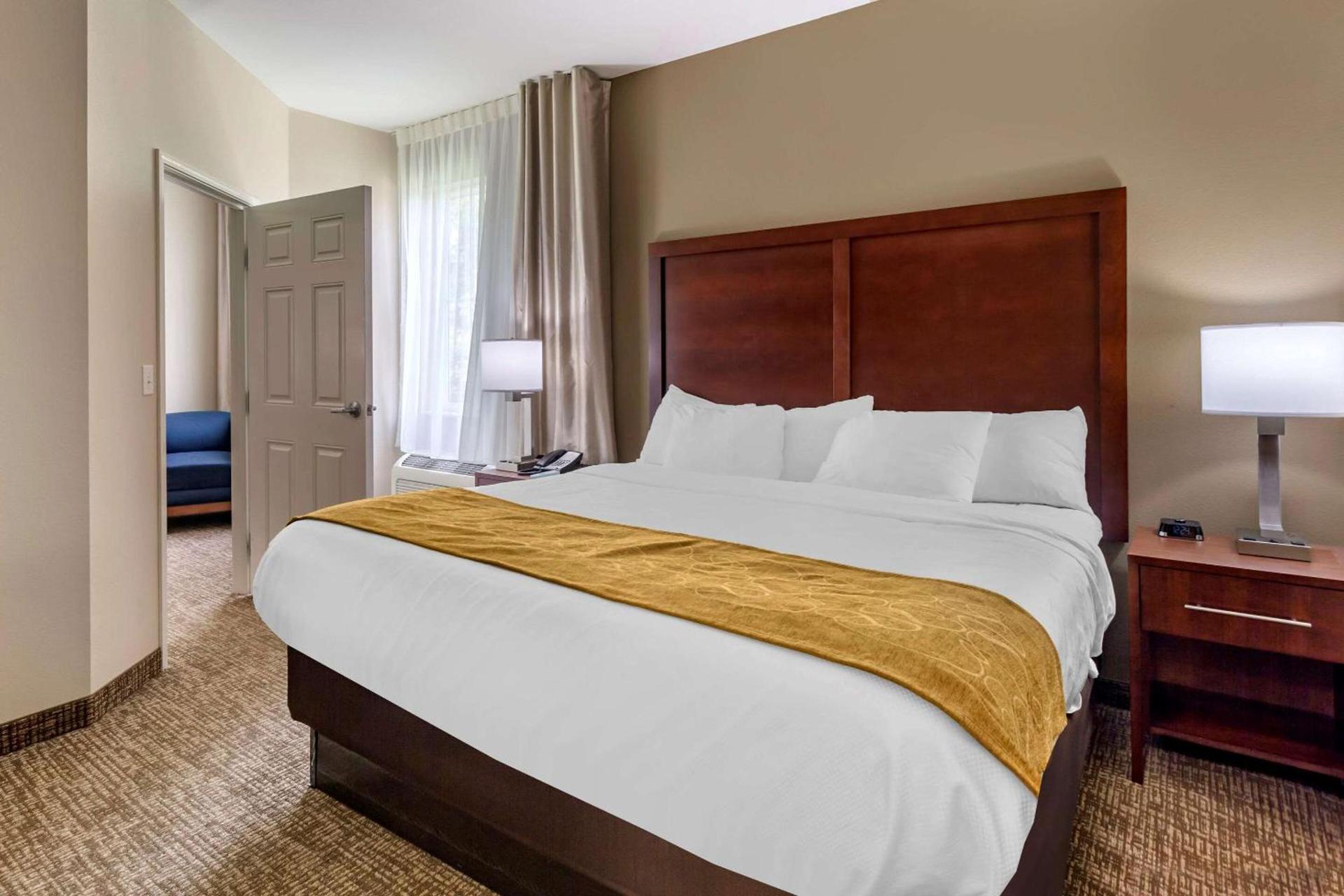 Comfort Suites Clarksville near Governors Square Mall photo 18