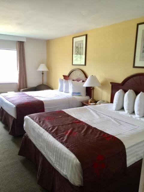 Days Inn & Suites by Wyndham Laurel Near Fort Meade photo 15