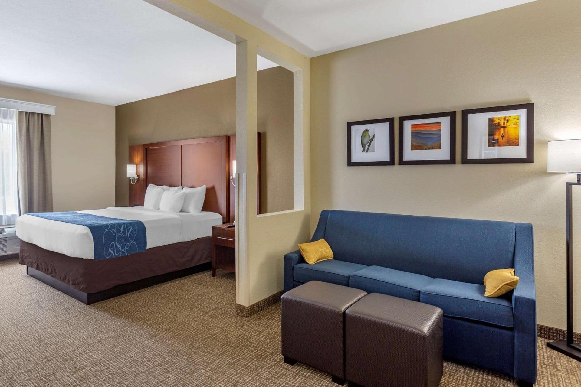 Comfort Suites Goodlettsville Rivergate photo 8