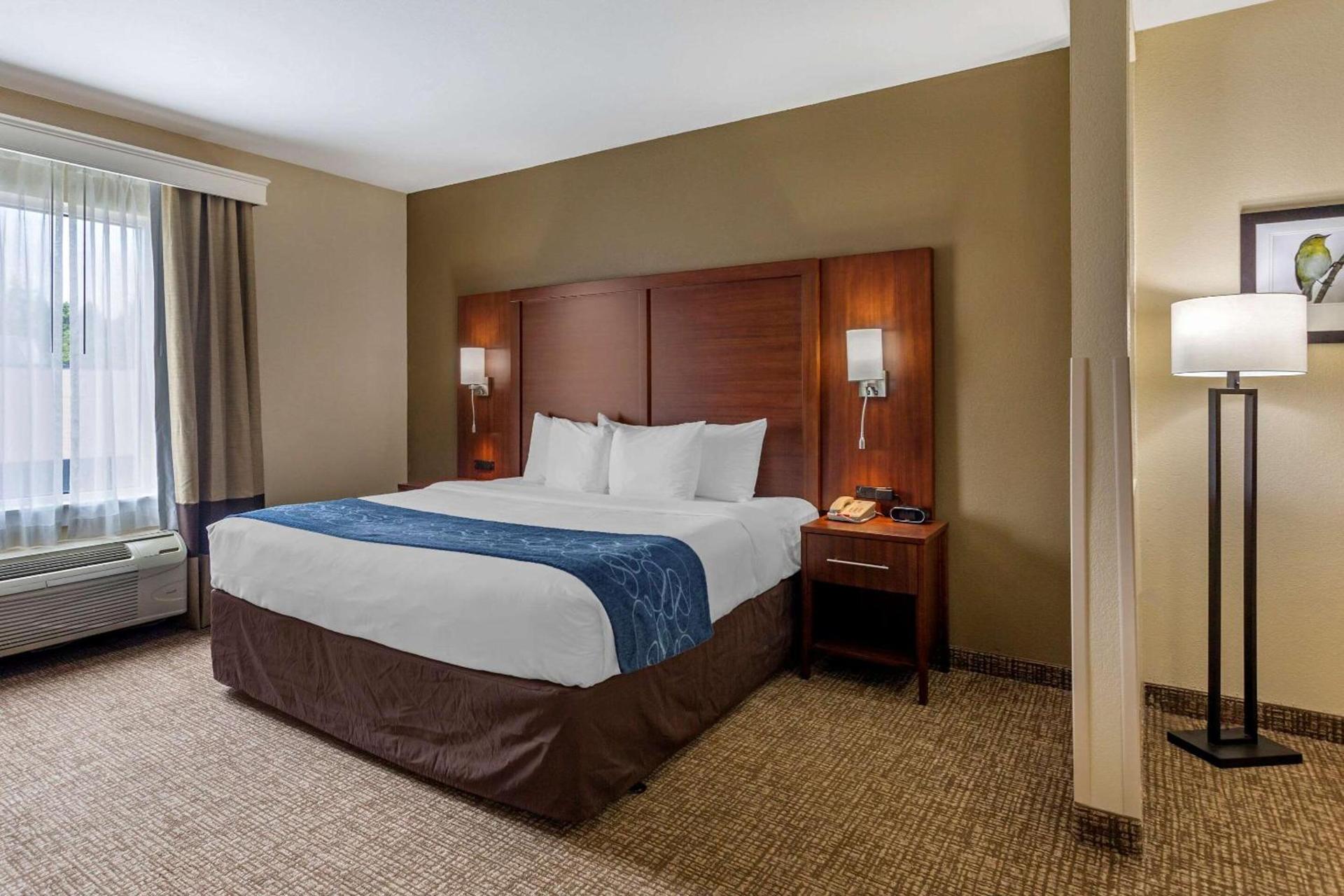 Comfort Suites Goodlettsville Rivergate photo 11