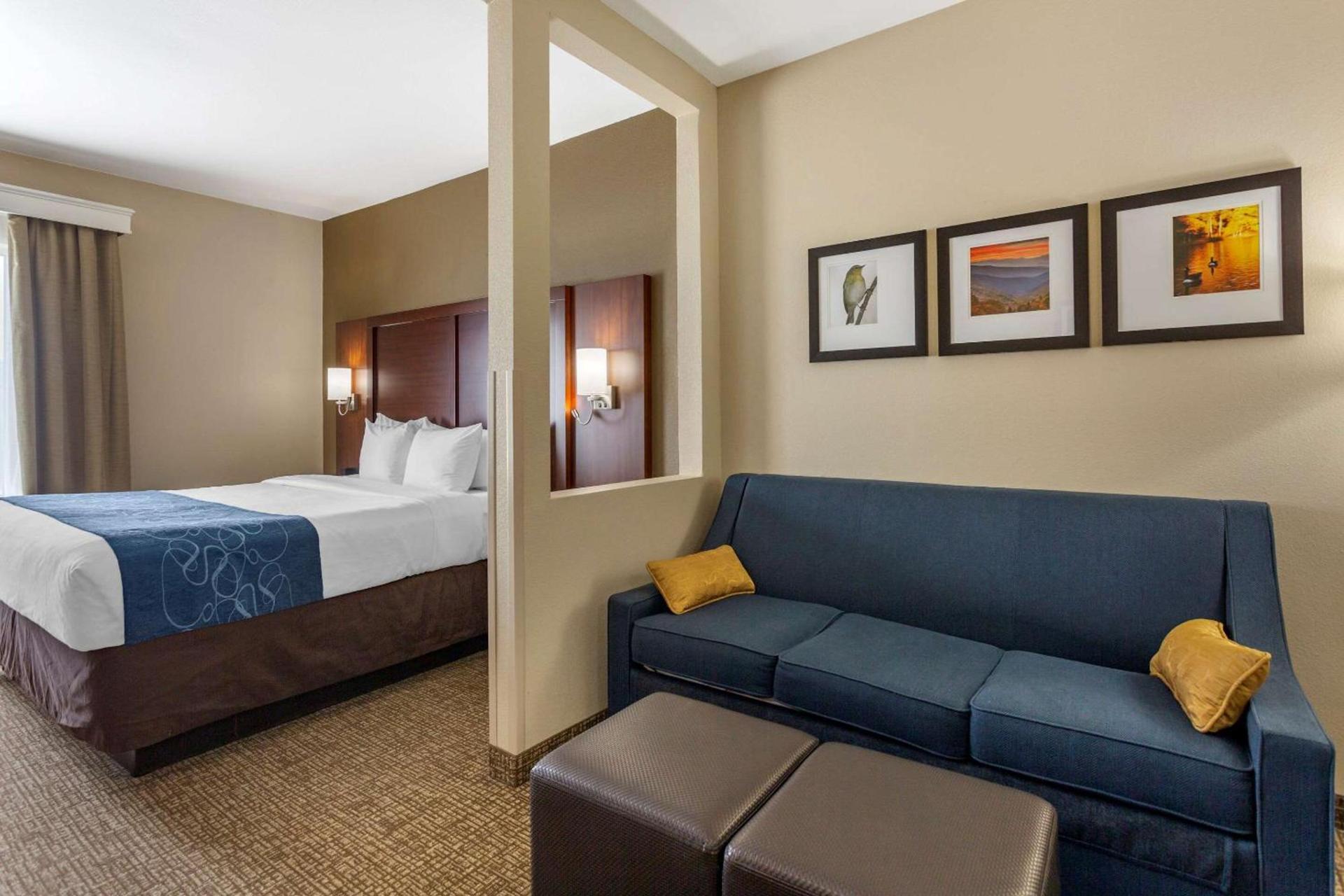 Comfort Suites Goodlettsville Rivergate photo 18