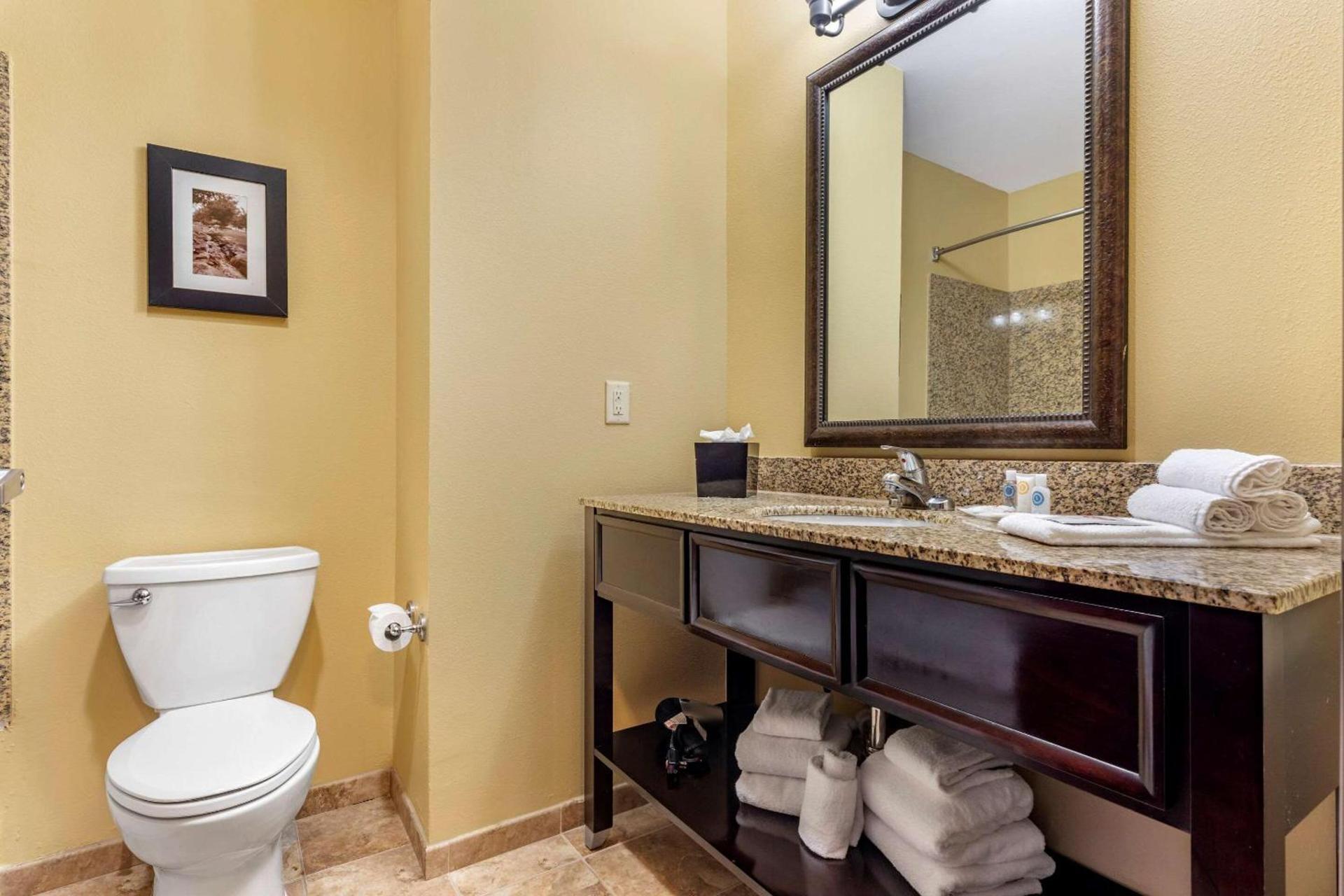Comfort Suites Frisco photo 9