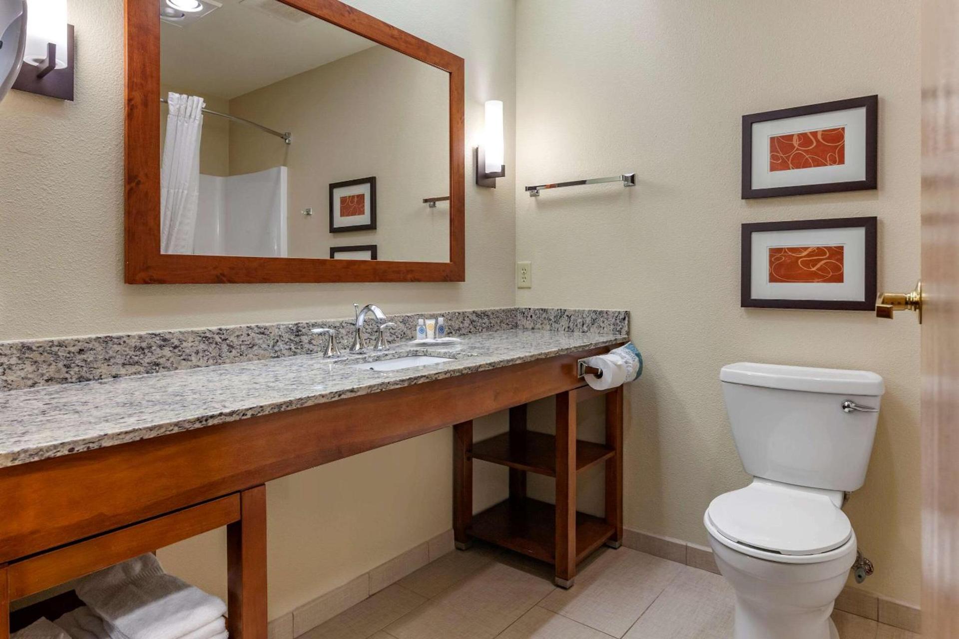 Comfort Suites Marquette photo 16