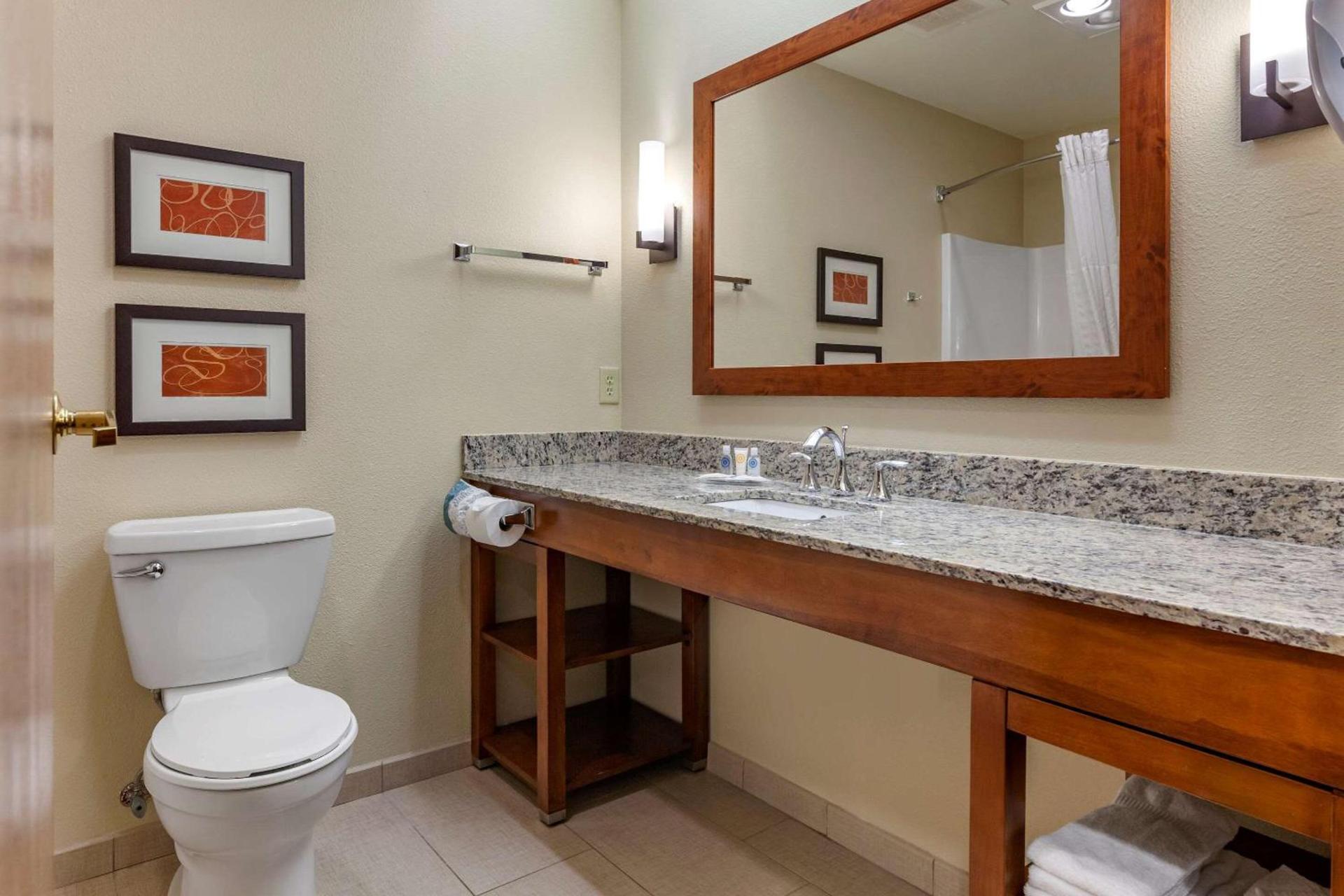 Comfort Suites Marquette photo 20