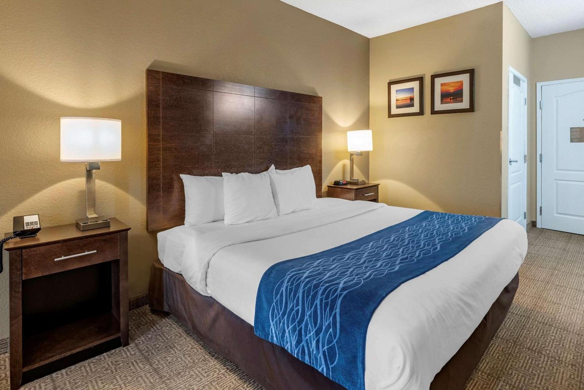 Comfort Inn & Suites Bryant - Benton photo 6