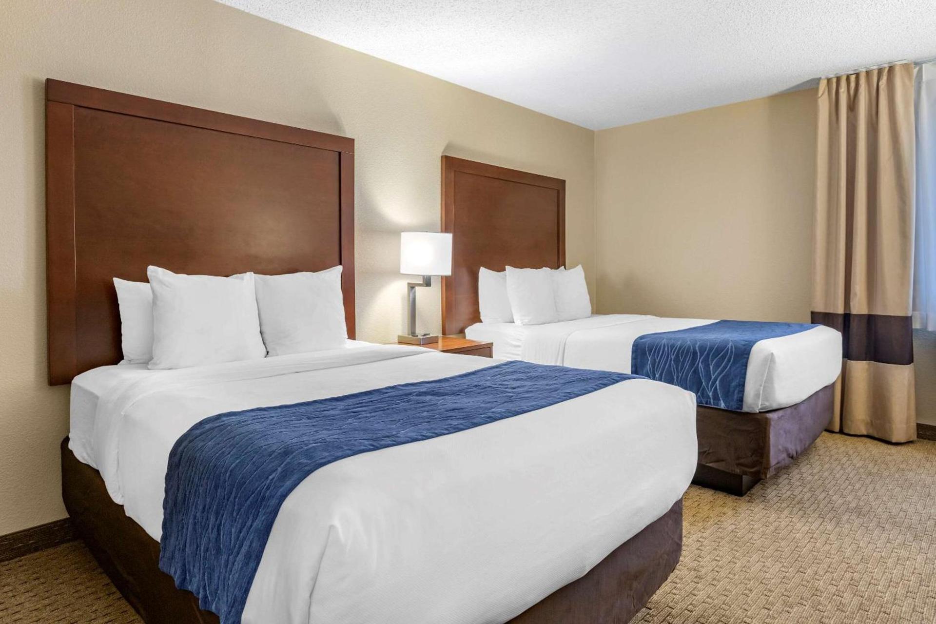 Comfort Inn Near Greenfield Village photo 18