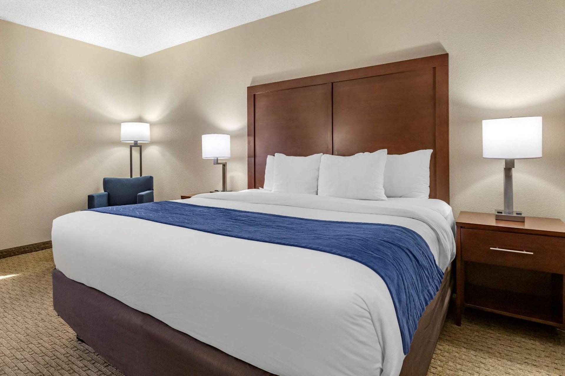 Comfort Inn Near Greenfield Village photo 20