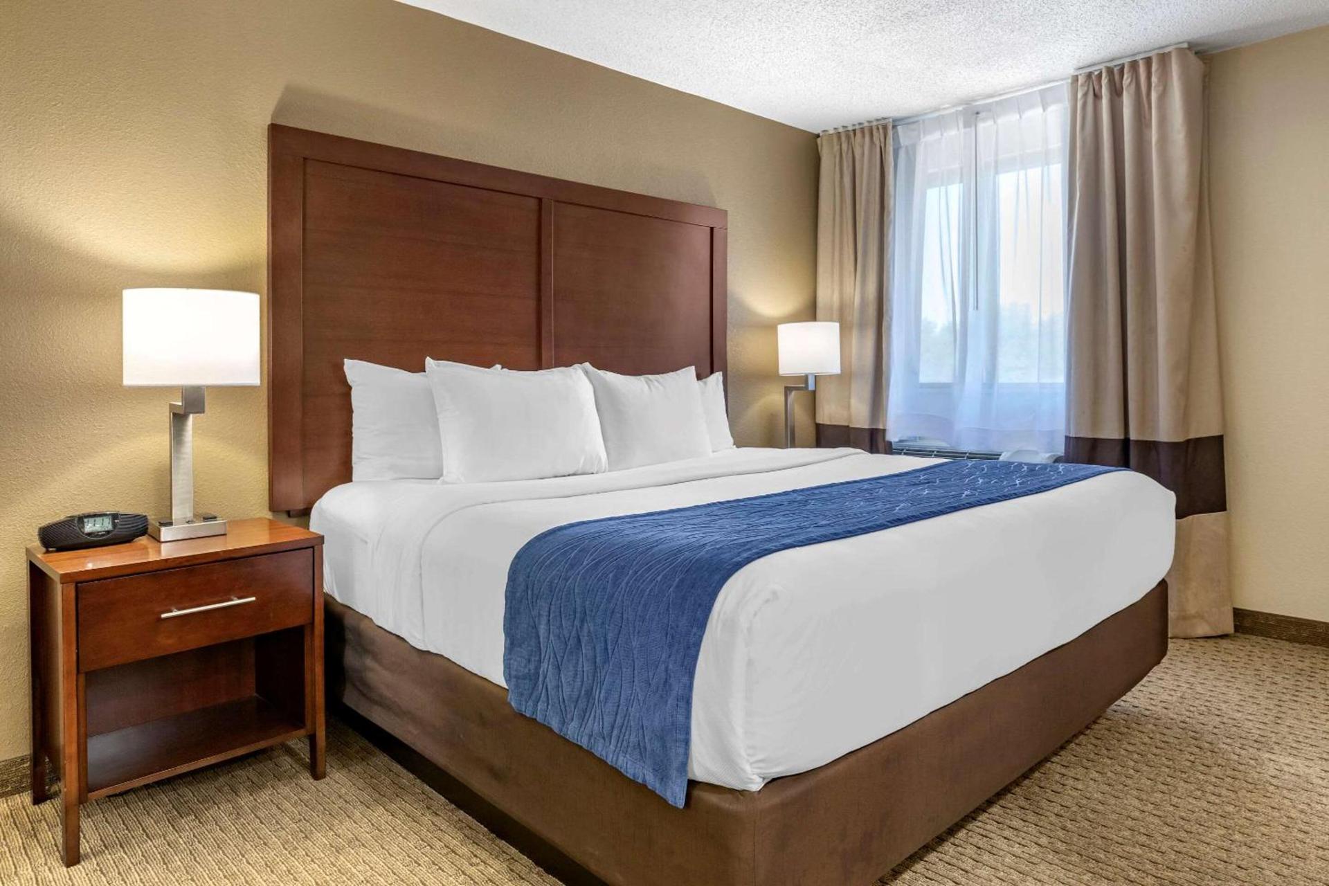 Comfort Inn Near Greenfield Village photo 25