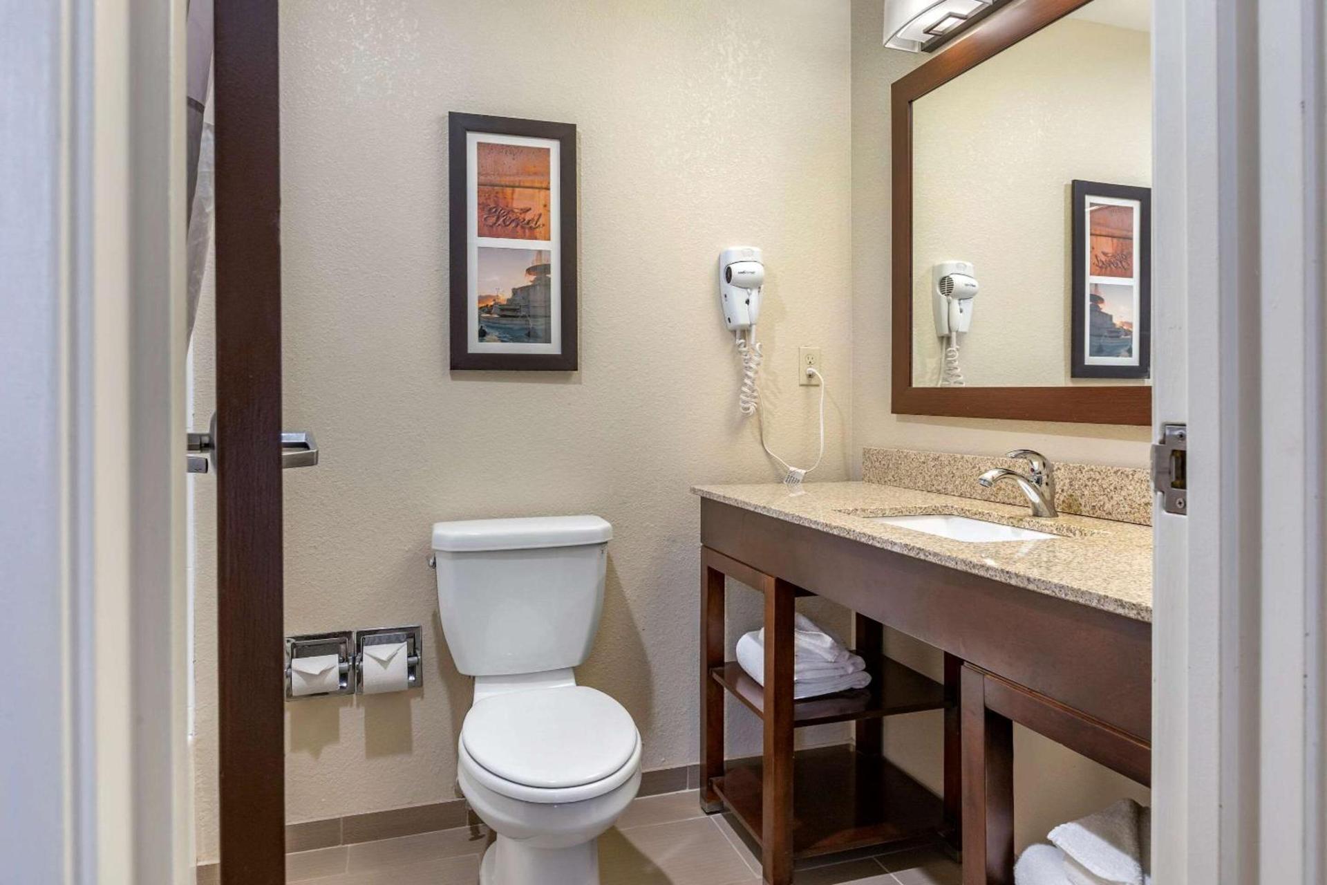 Comfort Inn Near Greenfield Village photo 8