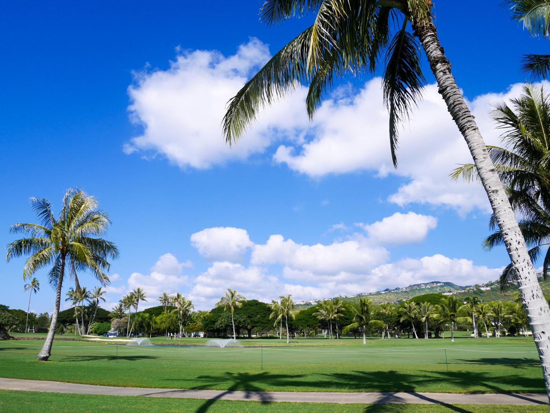 Holiday Inn Express Waikiki by IHG photo 13