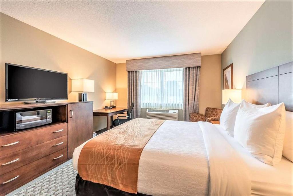 AmeriVu Inn and Suites - Chisago City photo 67