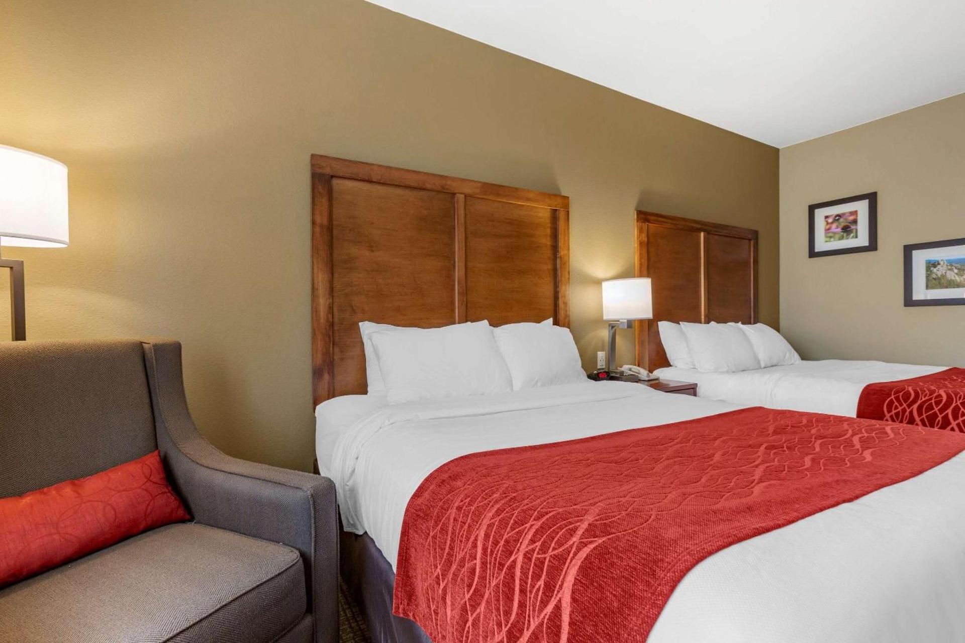 Comfort Inn & Suites Near Mt Rushmore photo 11