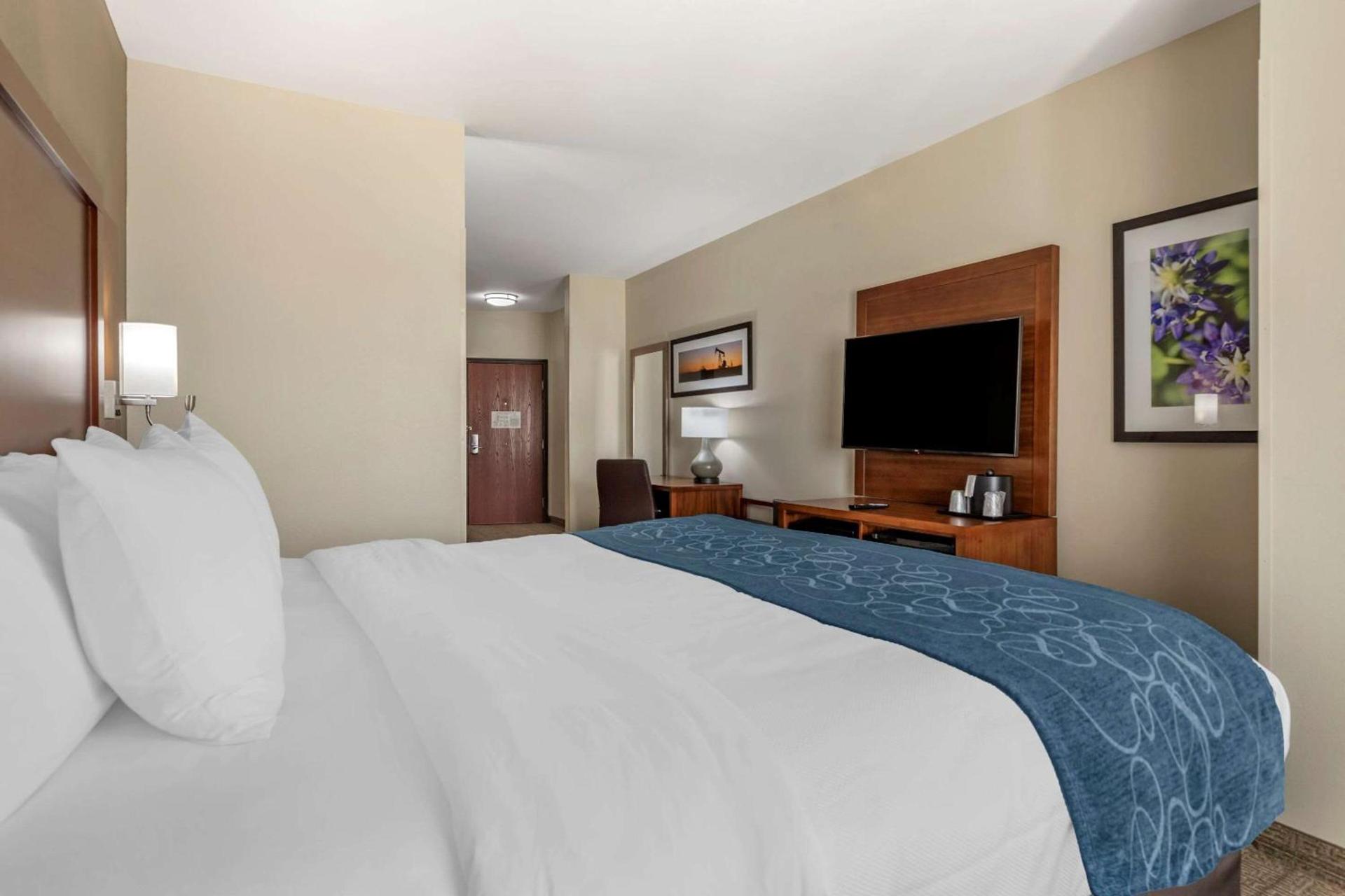 Comfort Suites Buda - Austin South photo 6