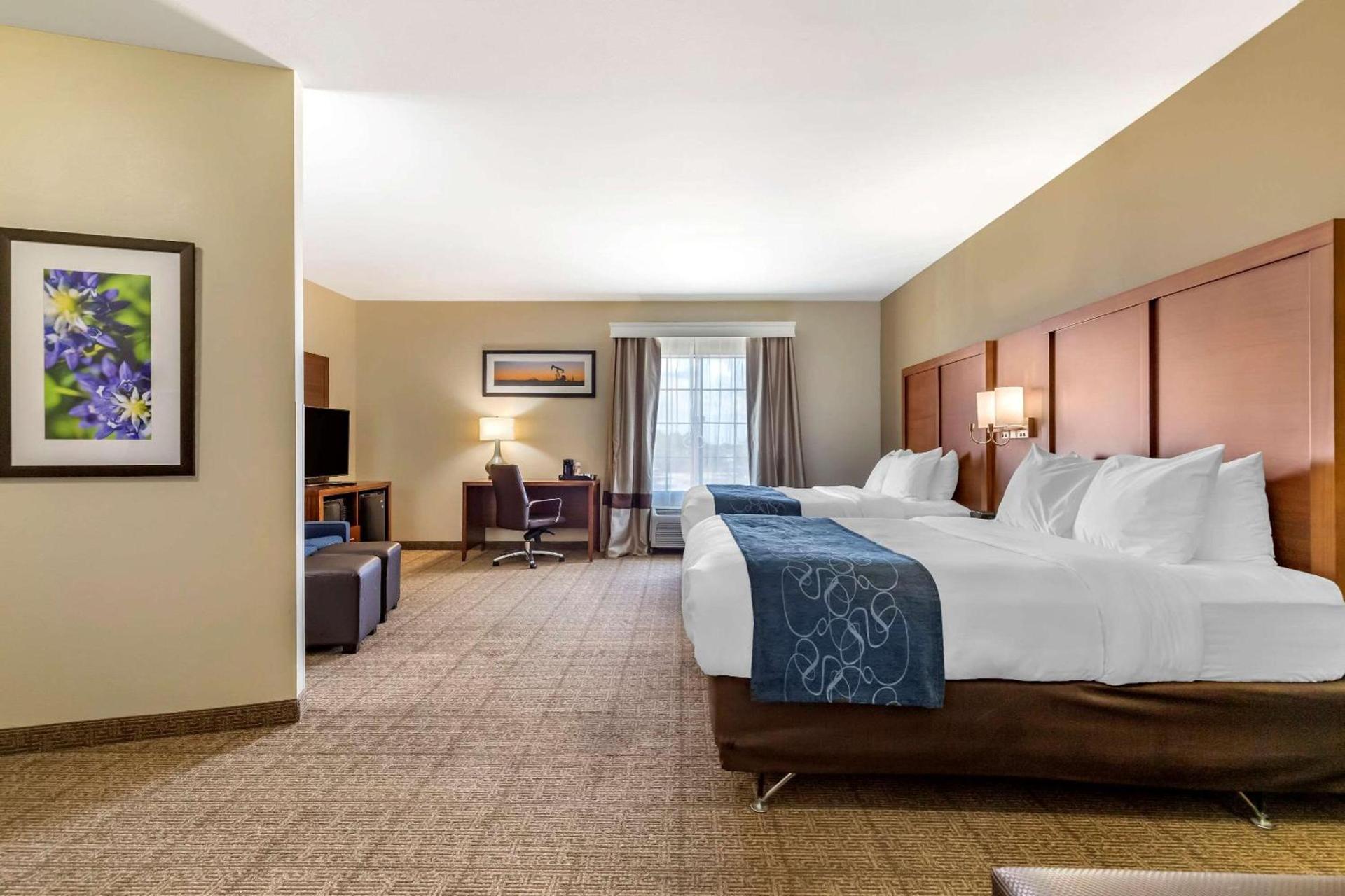 Comfort Suites Buda - Austin South photo 9