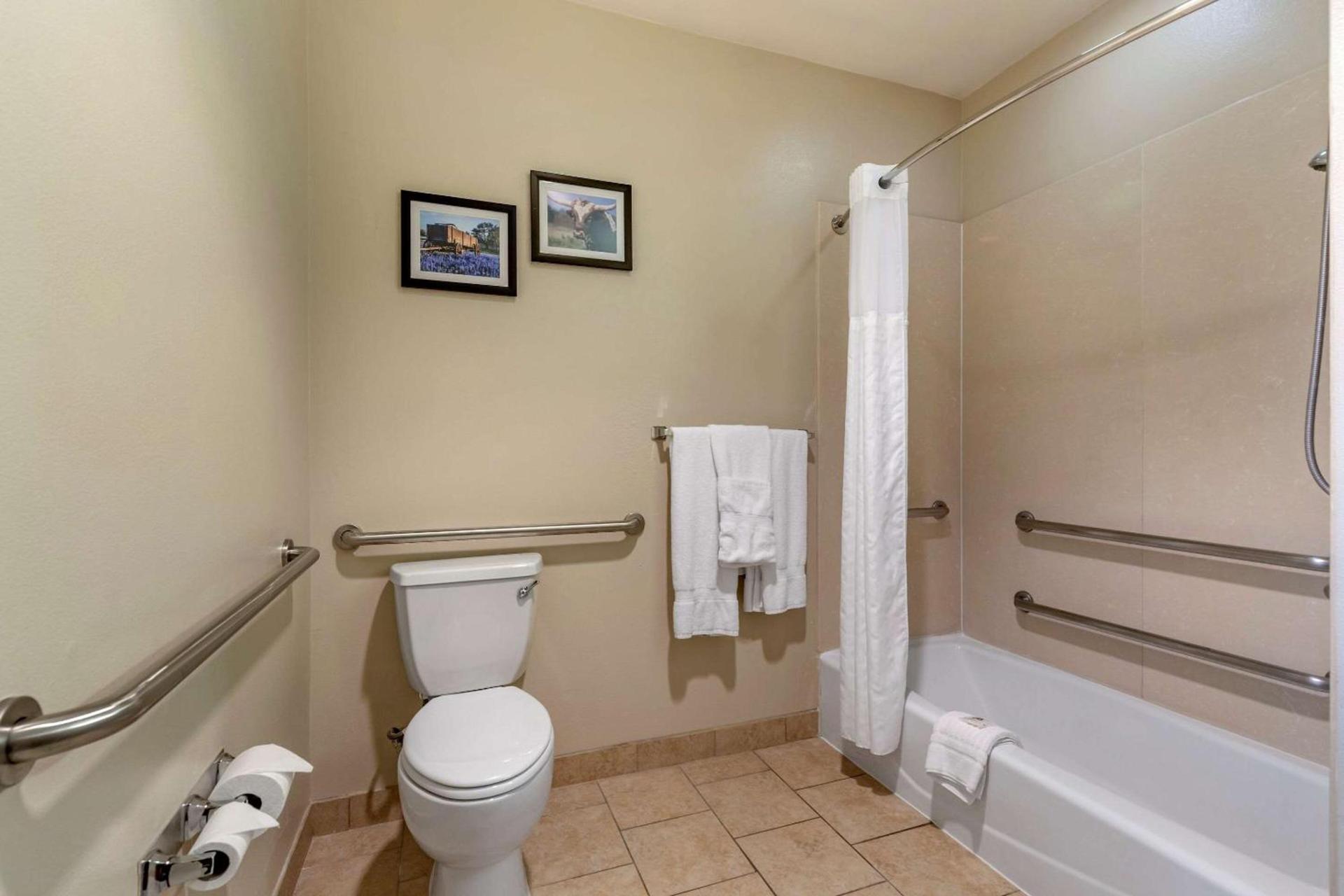 Comfort Suites Buda - Austin South photo 15