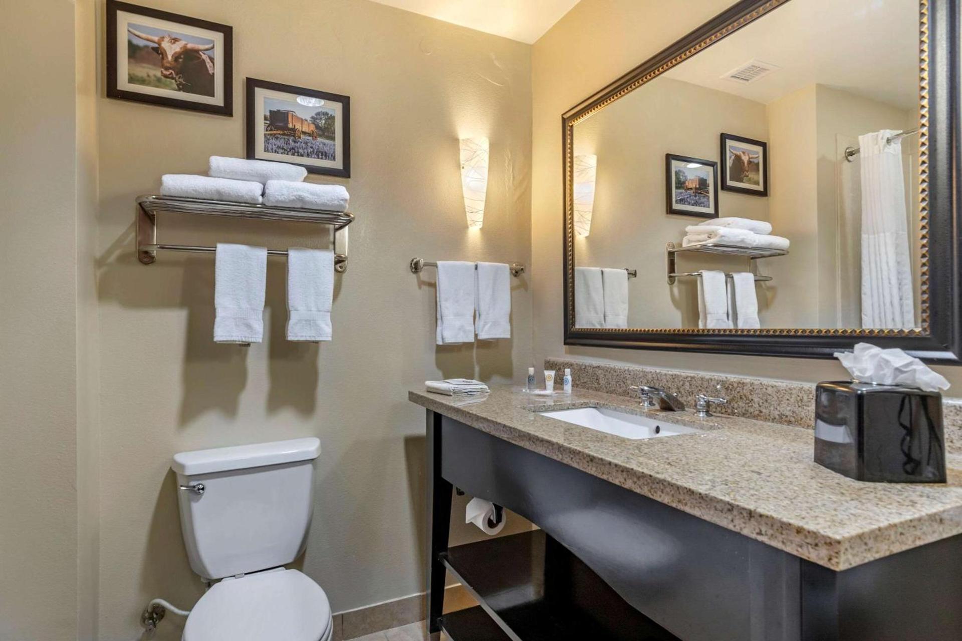 Comfort Suites Buda - Austin South photo 36