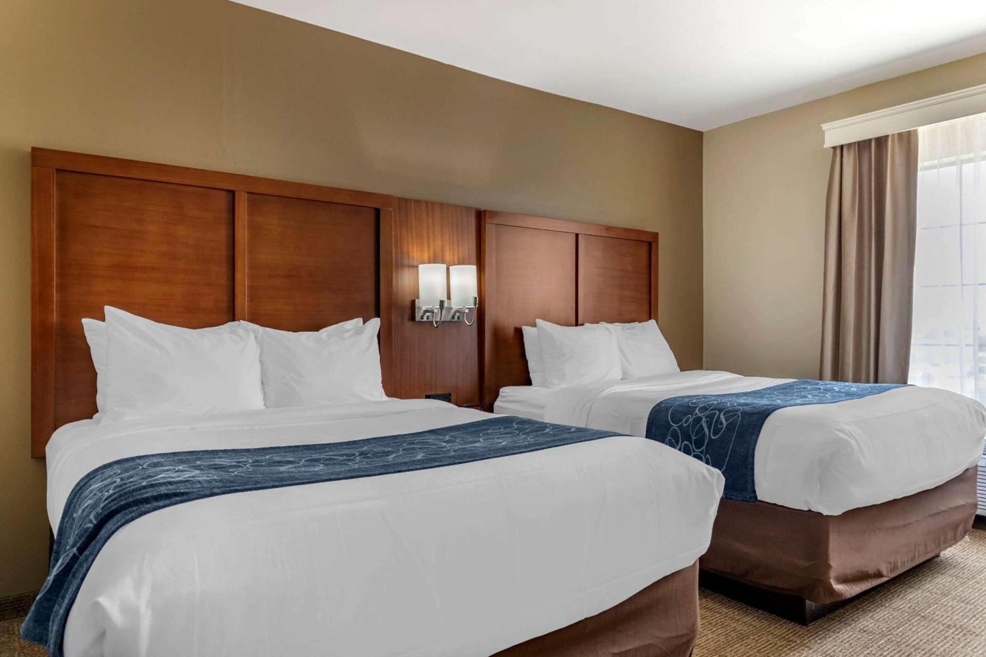 Comfort Suites Buda - Austin South photo 17
