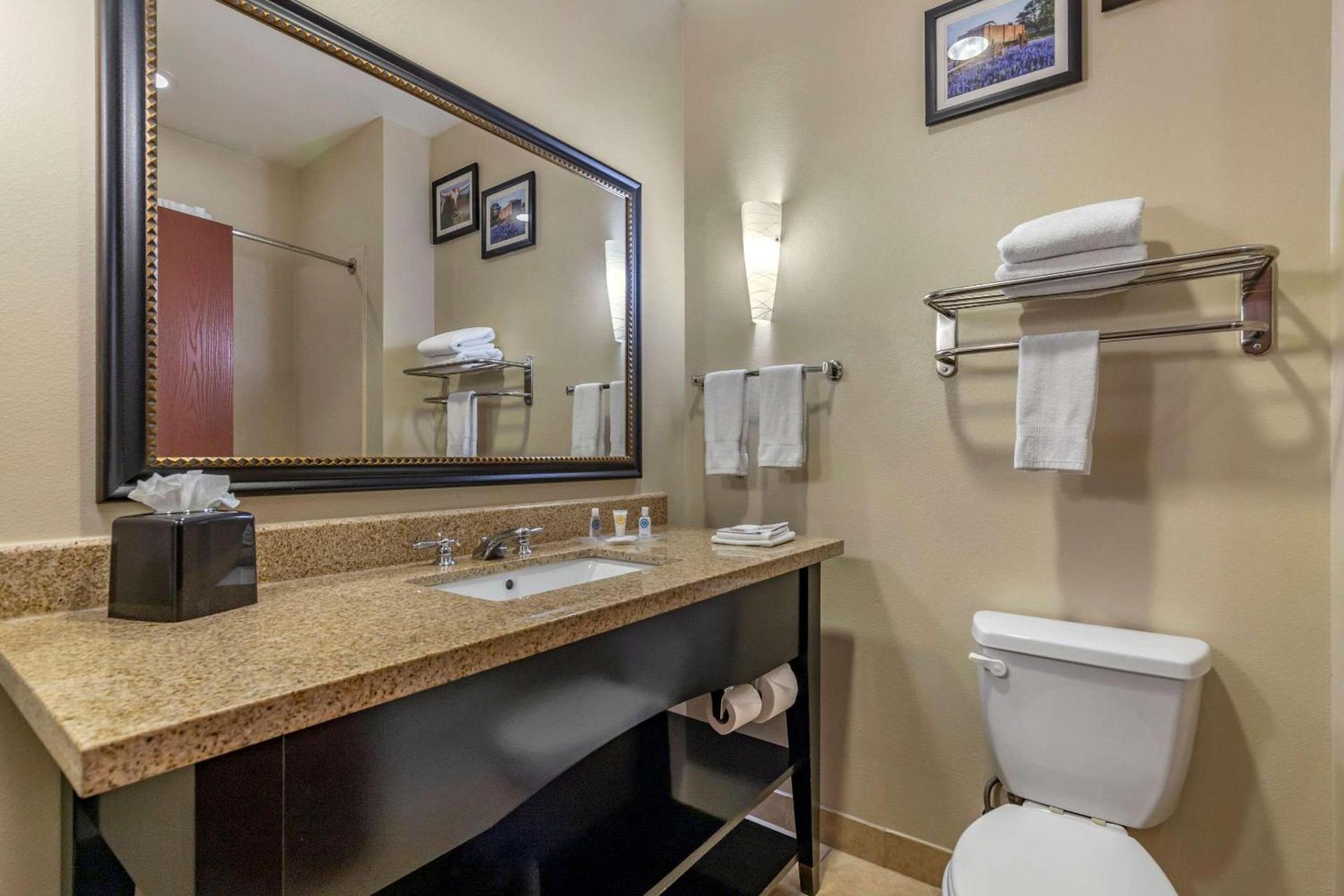 Comfort Suites Buda - Austin South photo 37
