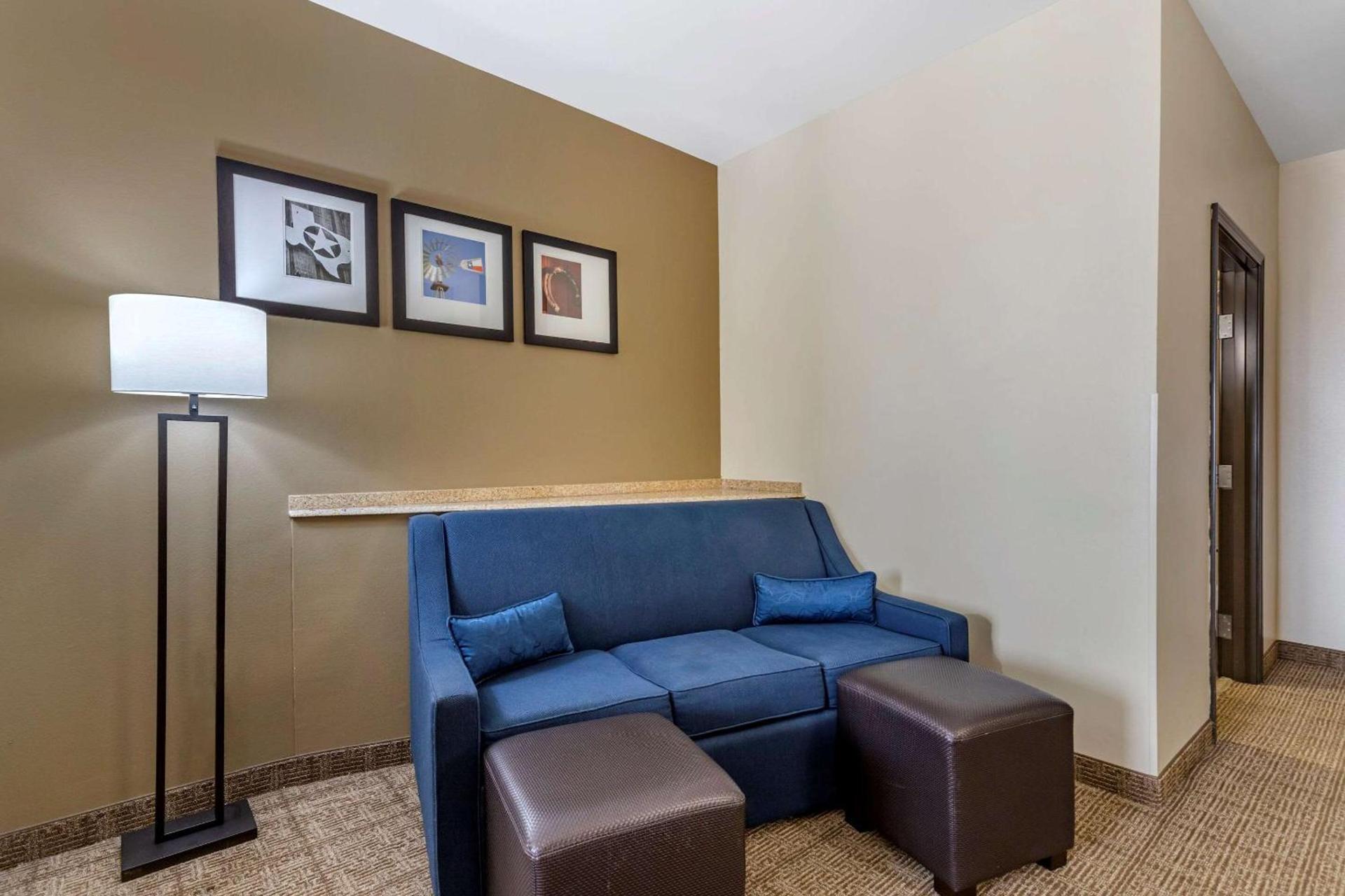 Comfort Suites Buda - Austin South photo 20