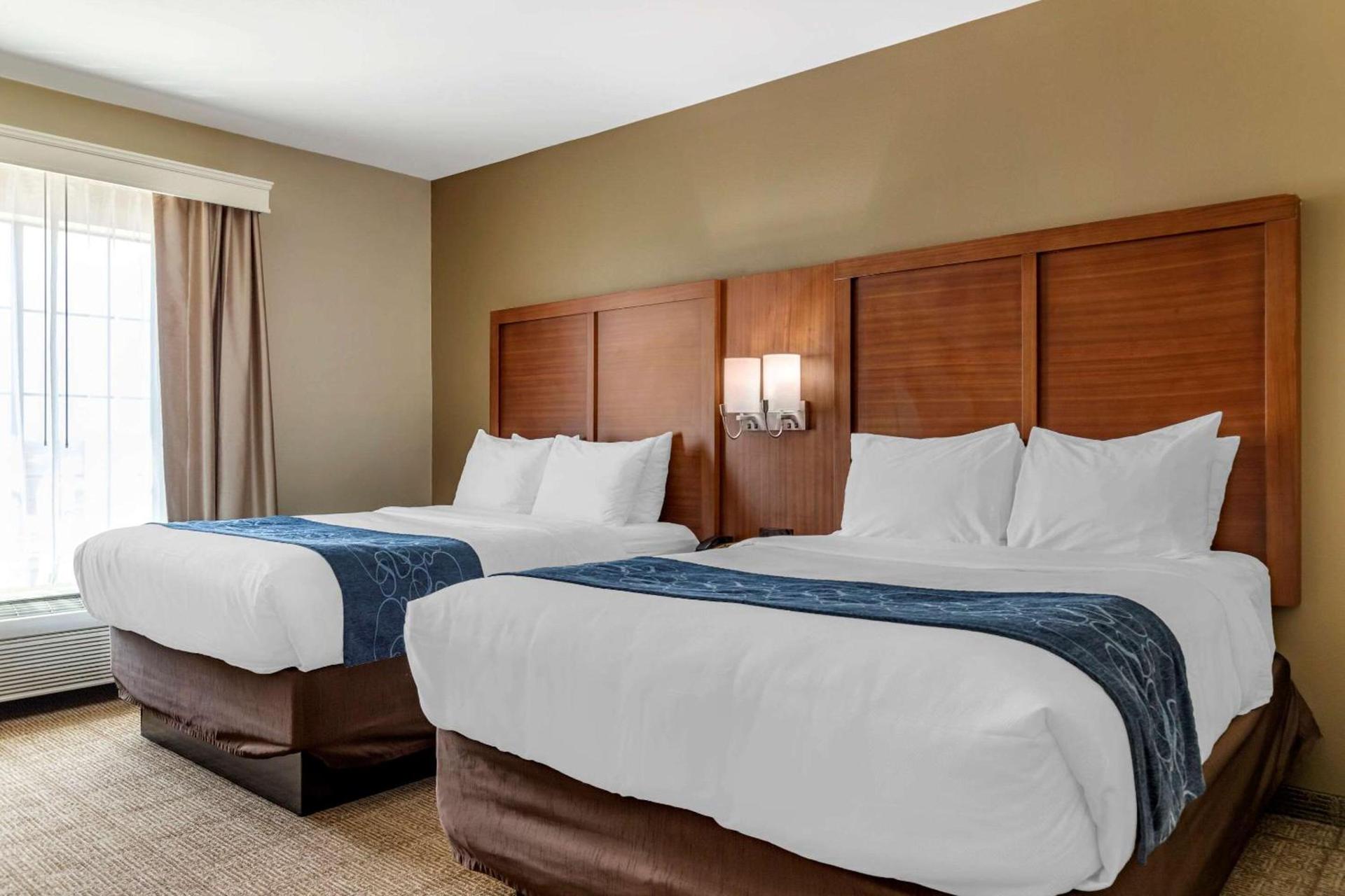 Comfort Suites Buda - Austin South photo 22
