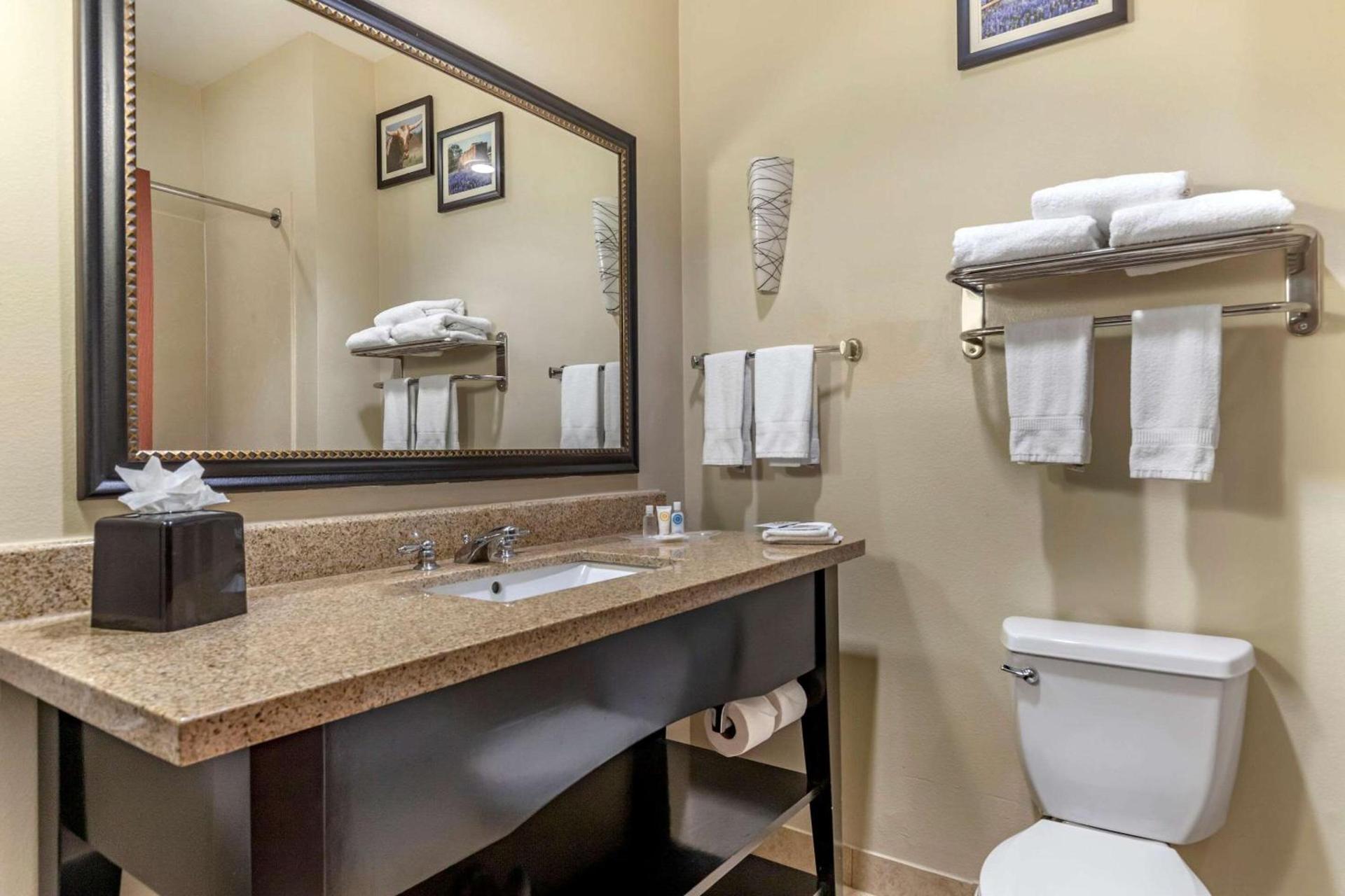 Comfort Suites Buda - Austin South photo 38