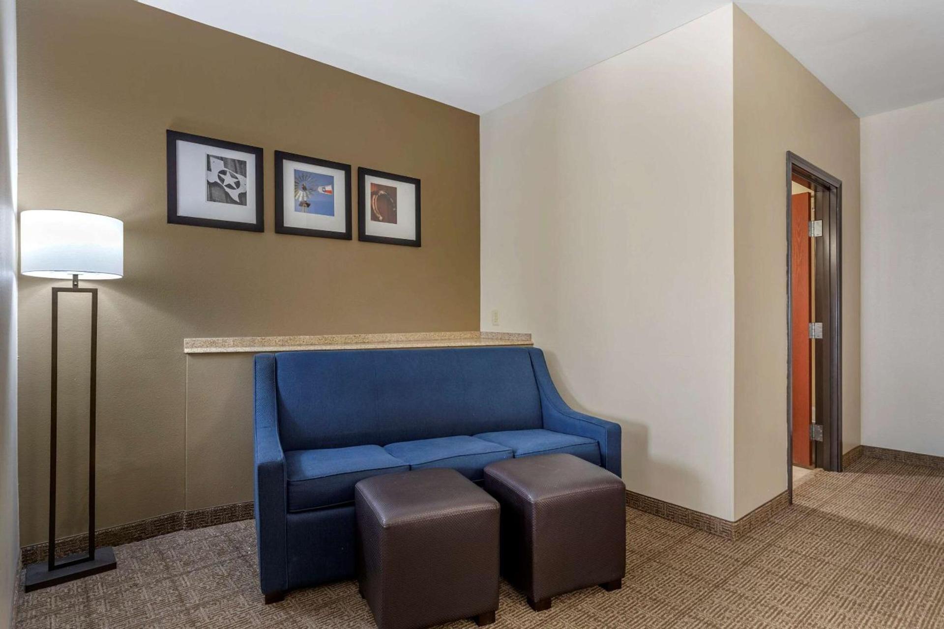 Comfort Suites Buda - Austin South photo 24
