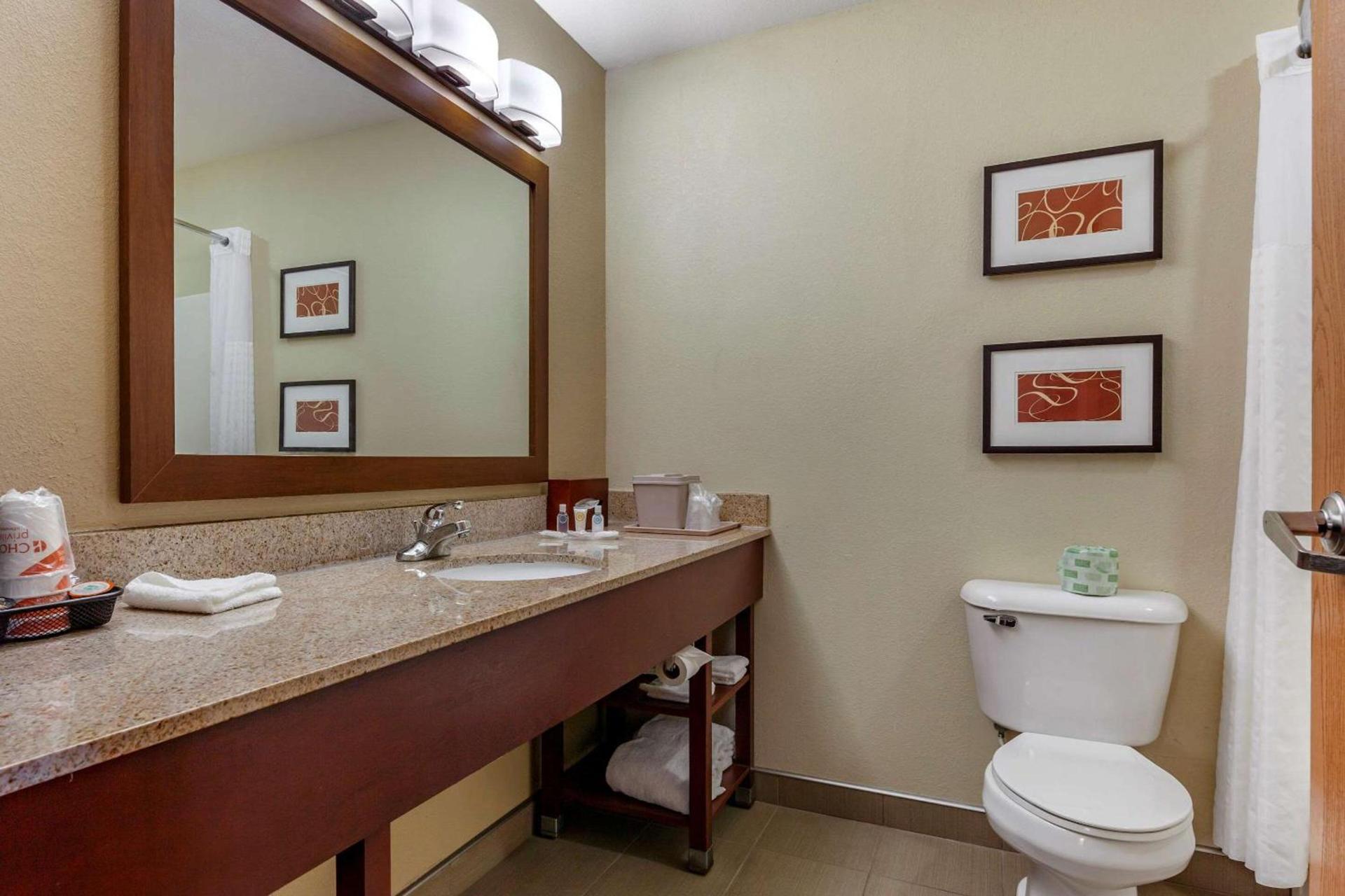 Comfort Suites Delavan - Lake Geneva Area photo 8