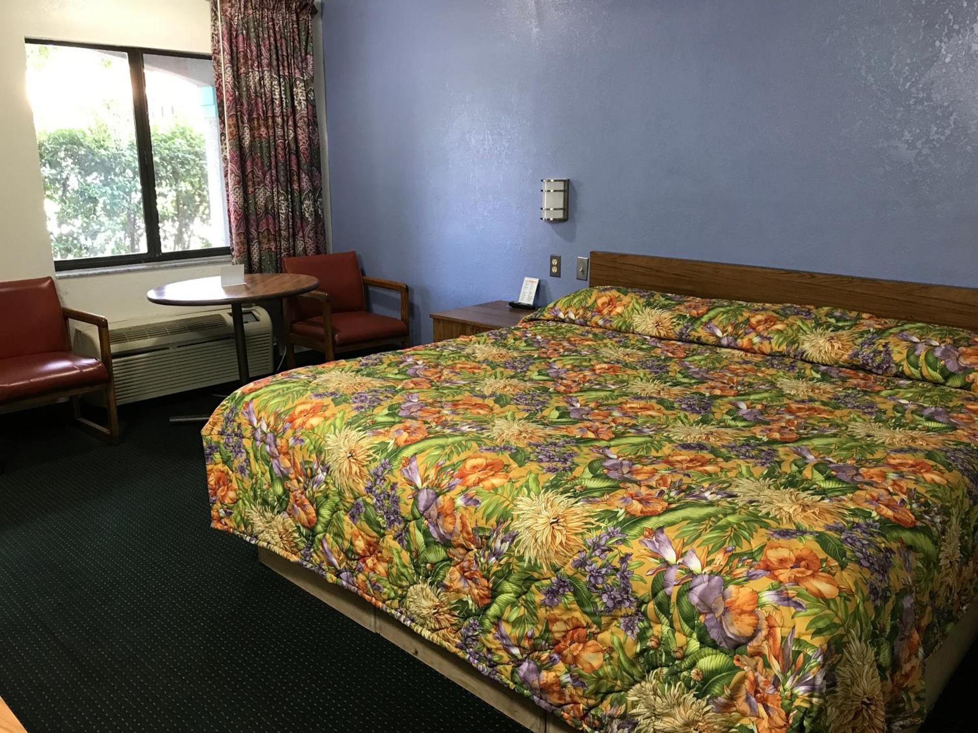 Flamingo Inn photo 3