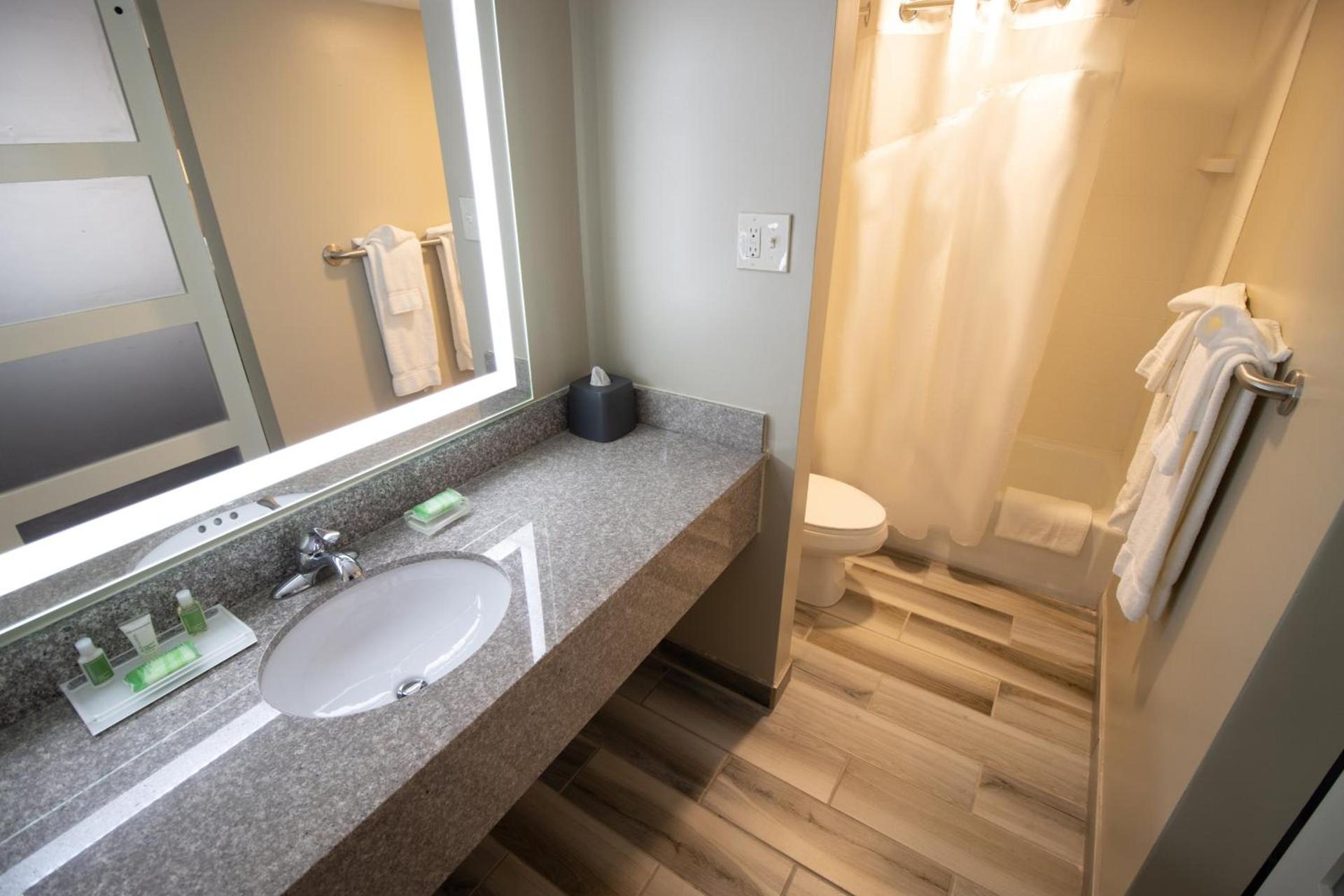 Holiday Inn Scranton East - Dunmore by IHG photo 16