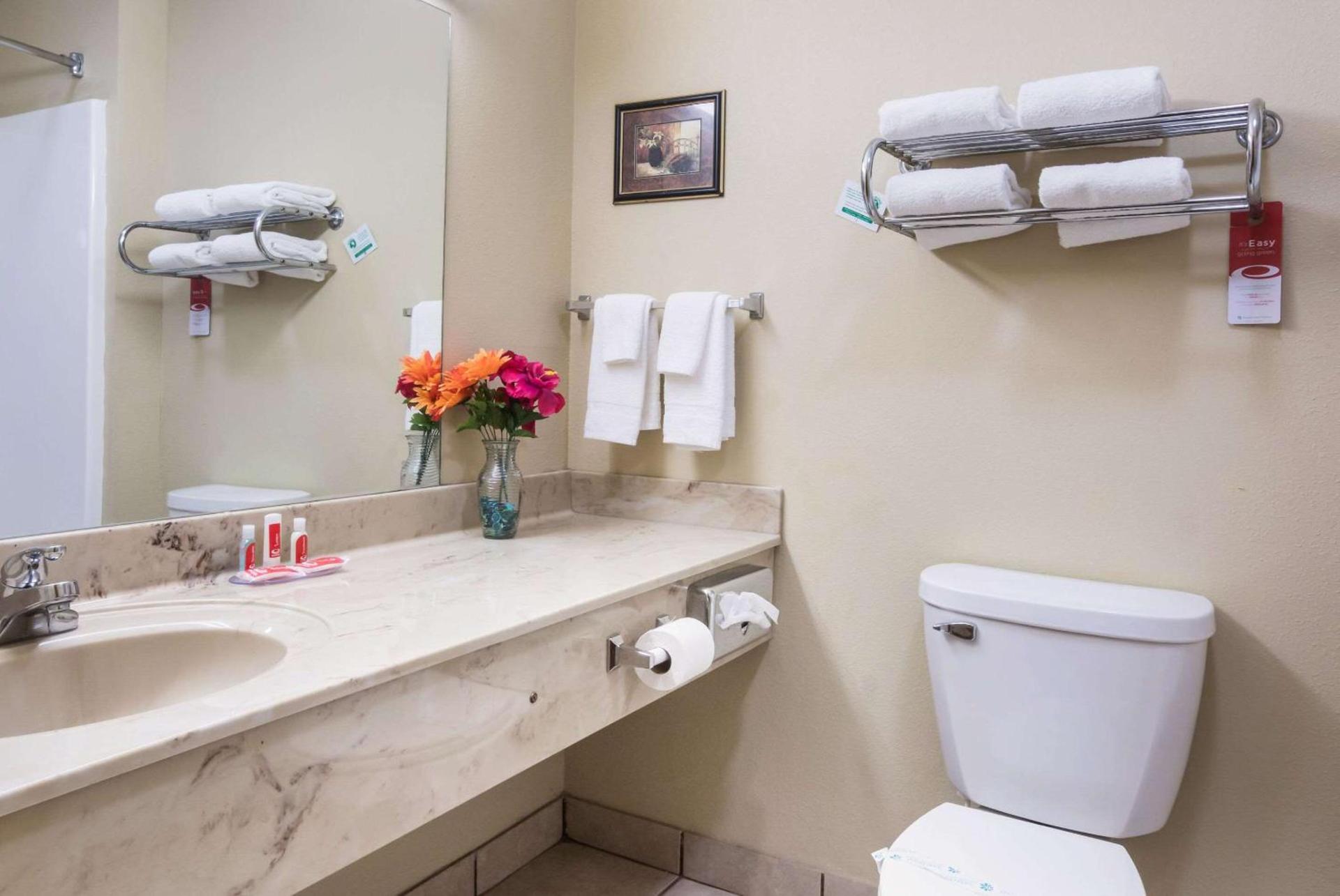 Econo Lodge Inn & Suites Rockmart photo 15