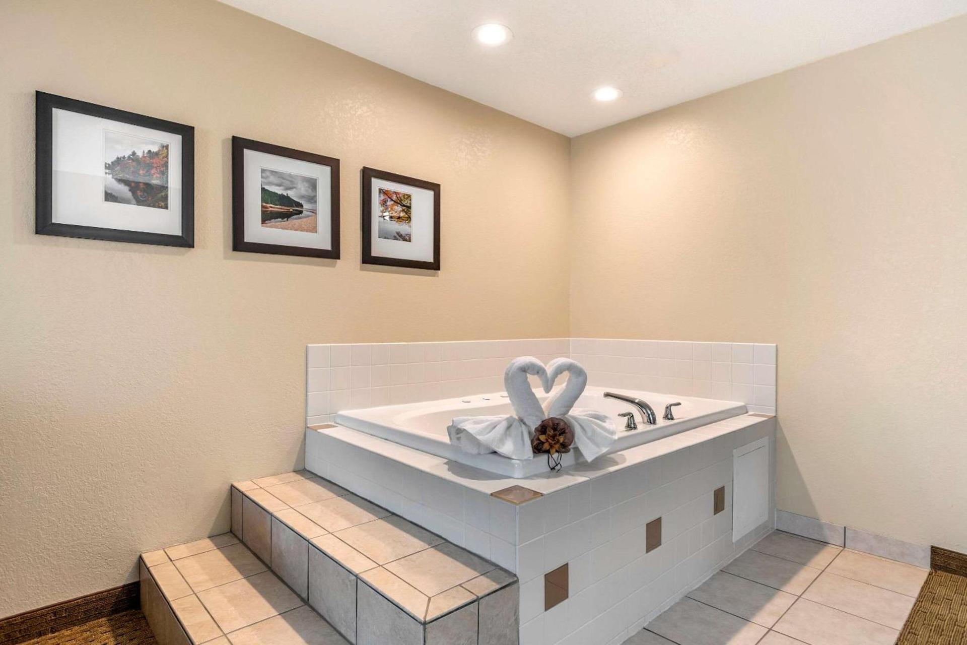 Comfort Suites Grand Rapids North photo 5