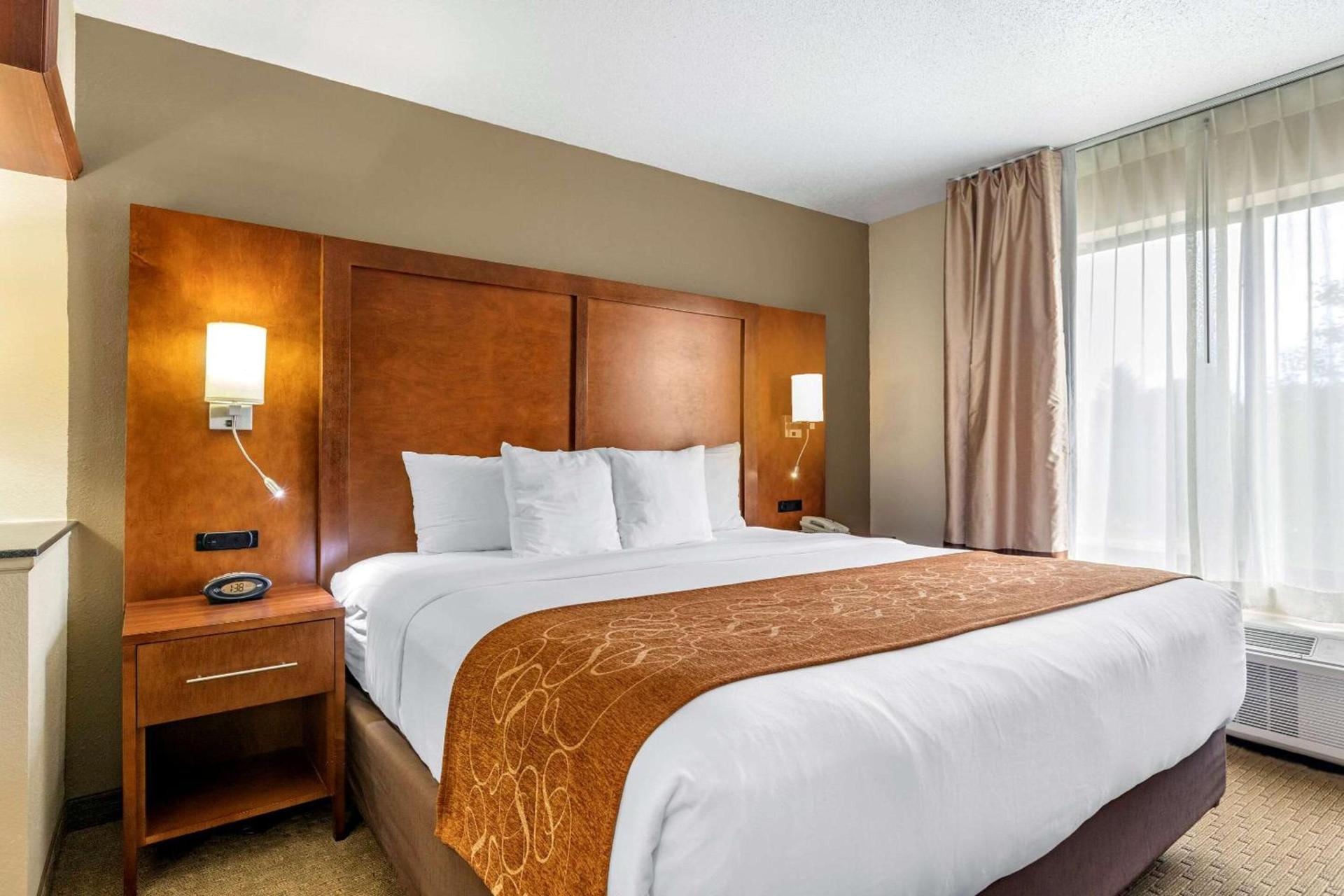 Comfort Suites Grand Rapids North photo 11