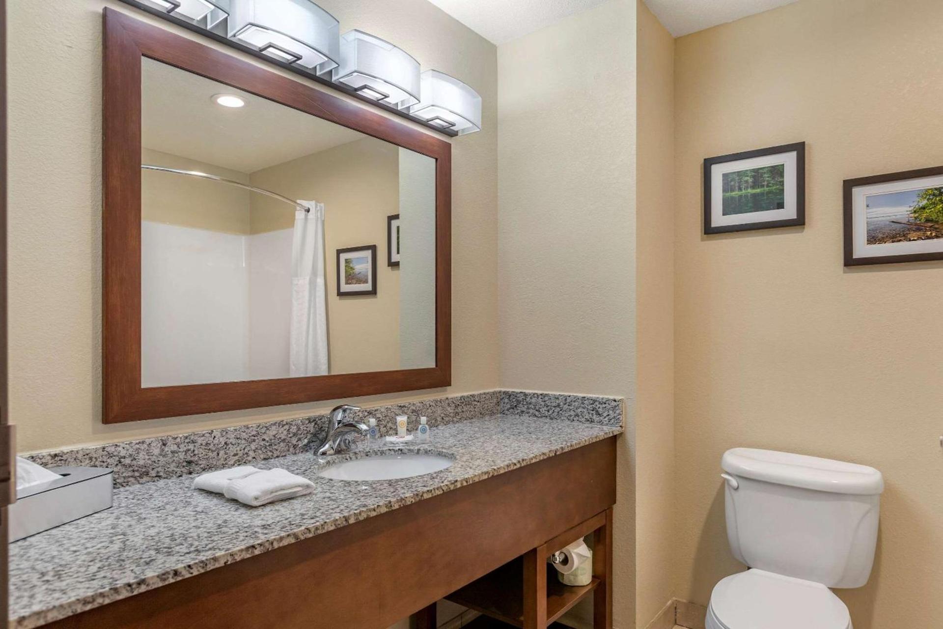 Comfort Suites Grand Rapids North photo 14