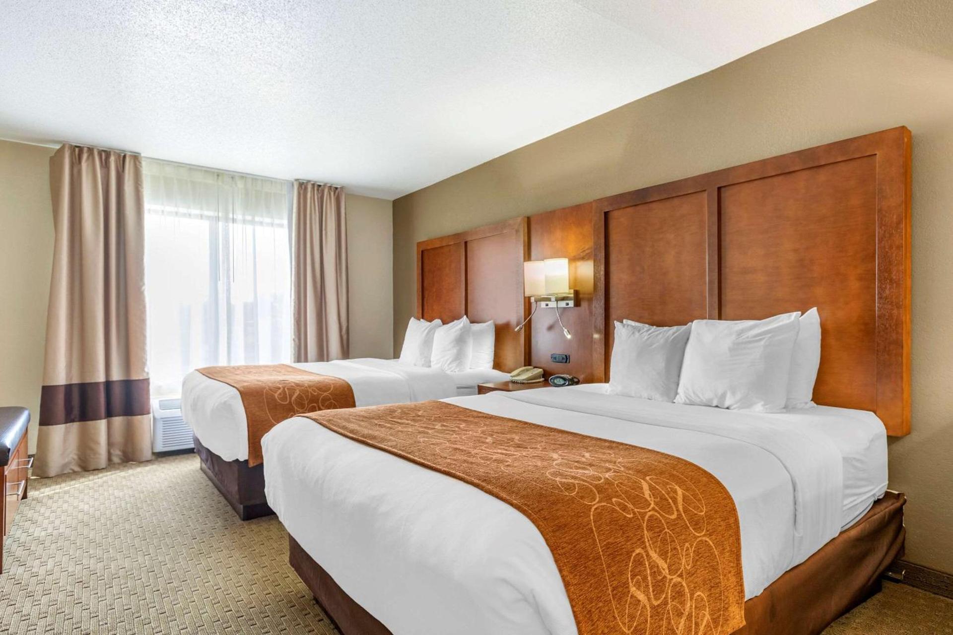 Comfort Suites Grand Rapids North photo 22