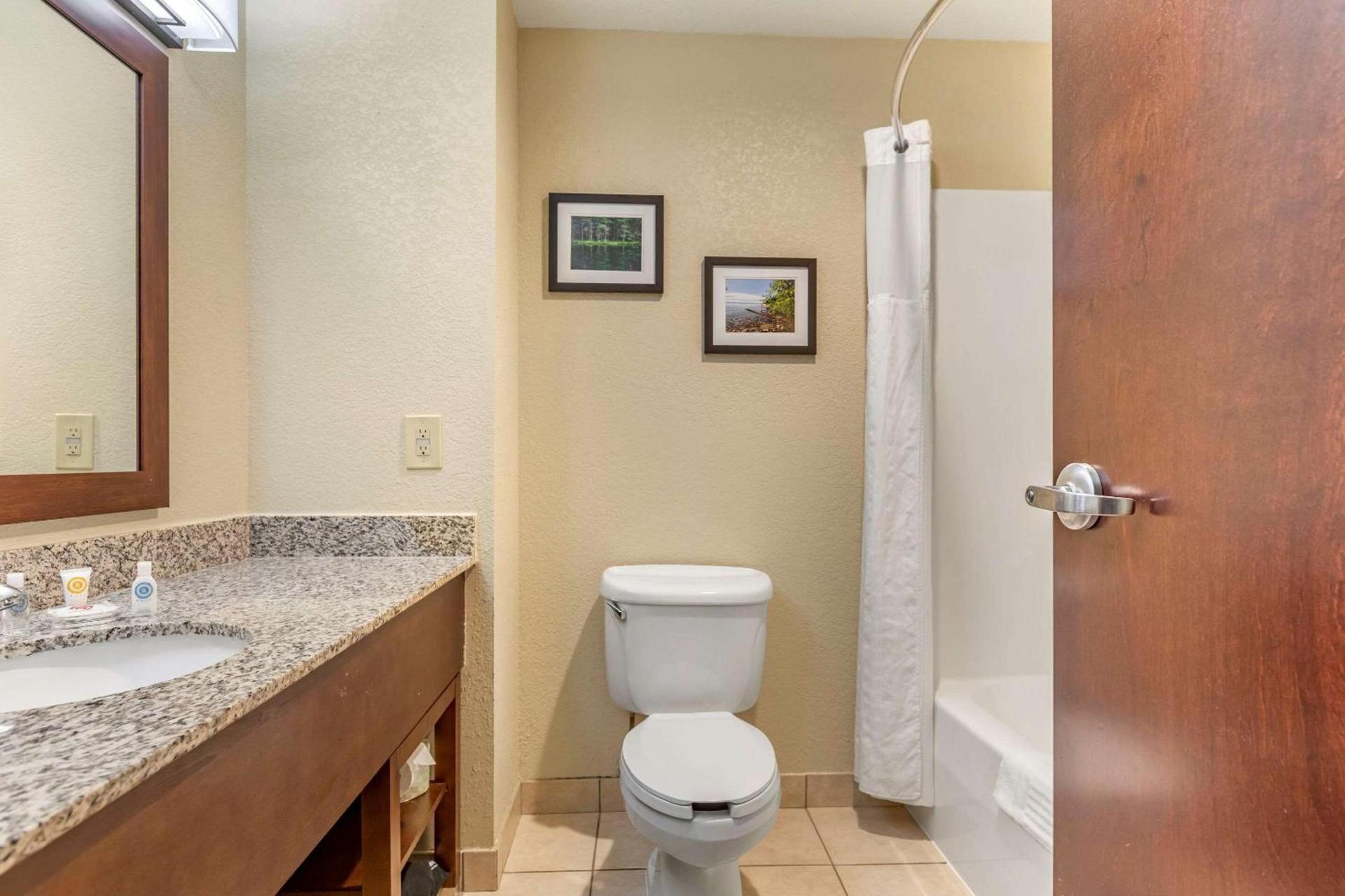 Comfort Suites Grand Rapids North photo 25