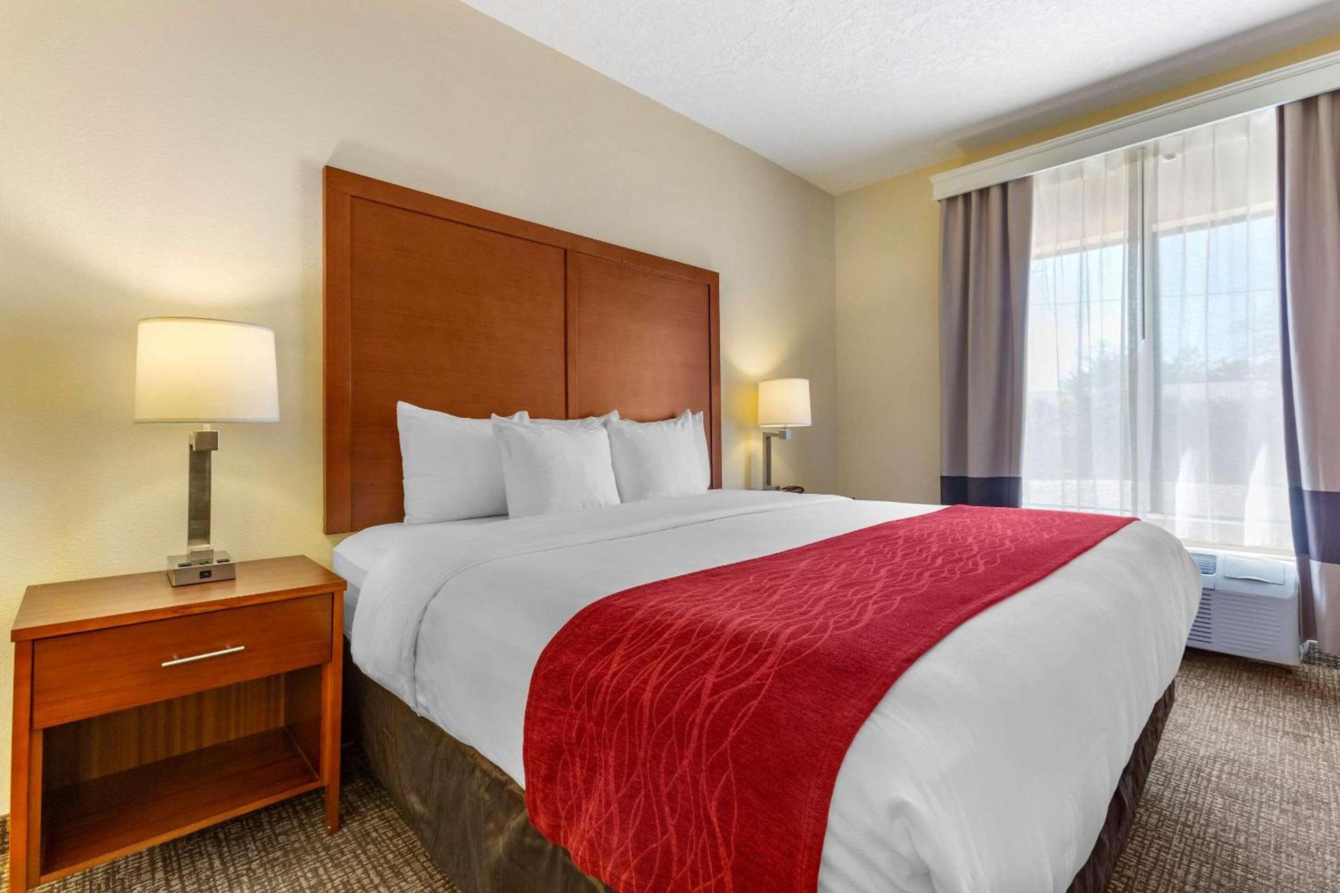 Comfort Inn & Suites Socorro photo 8