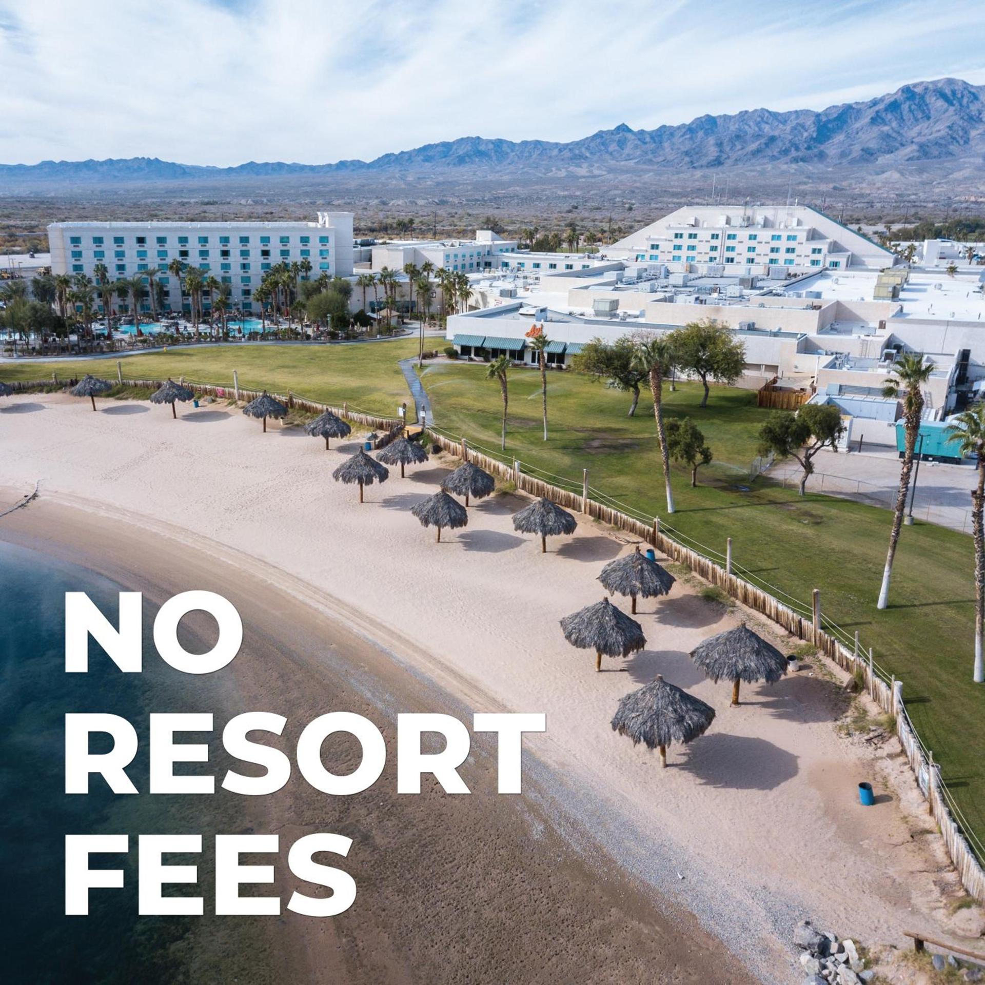 Avi Resort & Casino photo 14