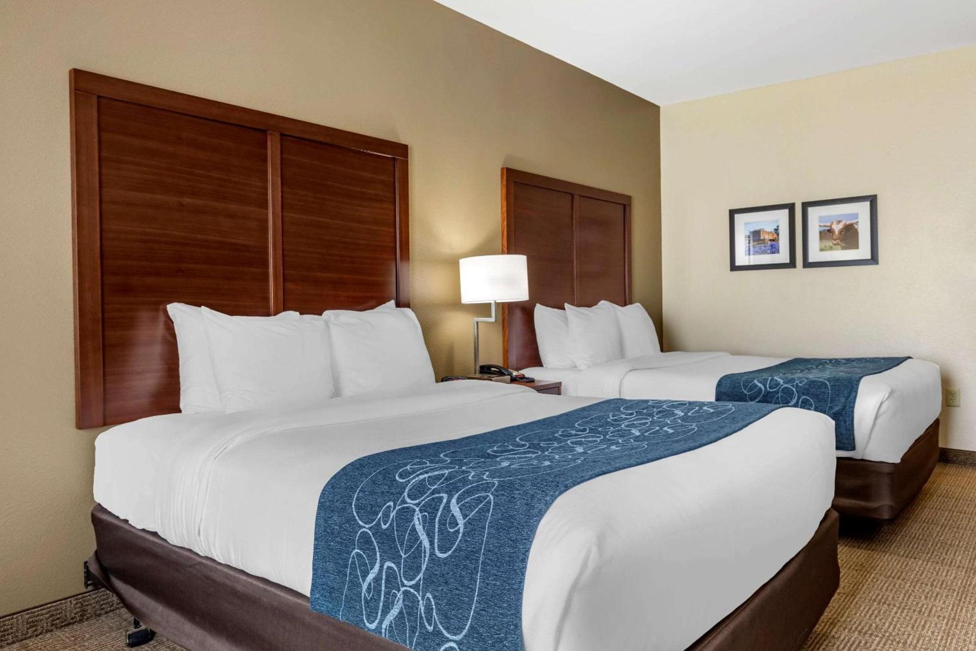 Comfort Inn & Suites Paris photo 10