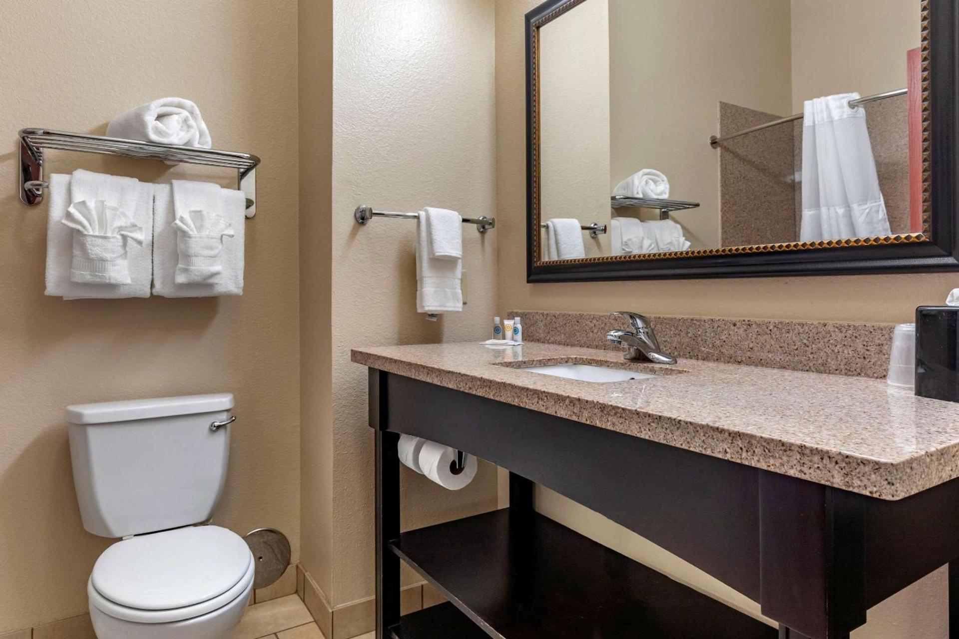 Comfort Inn & Suites Paris photo 16