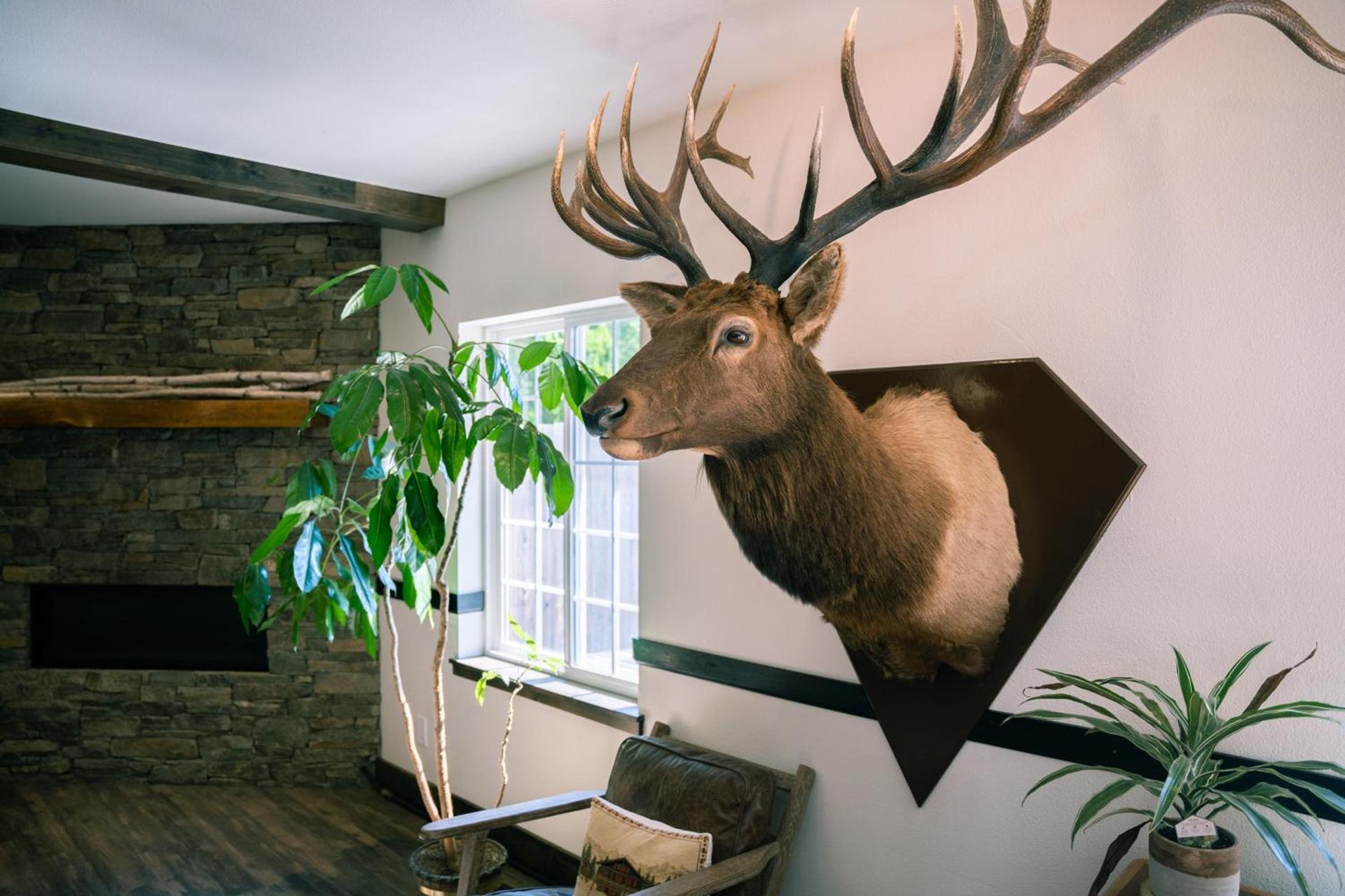 Blue Elk Inn photo 83