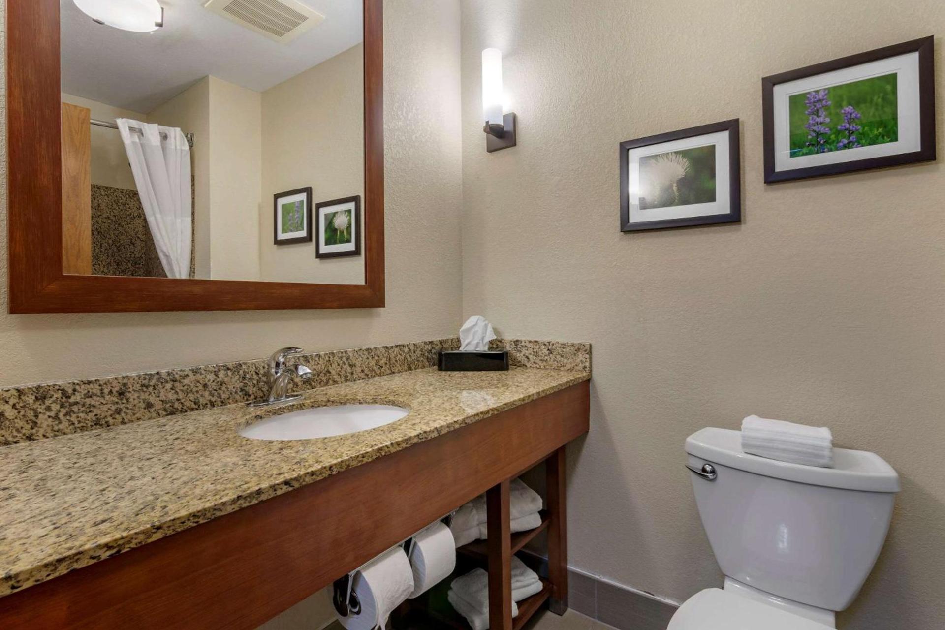 Comfort Suites Manhattan photo 8