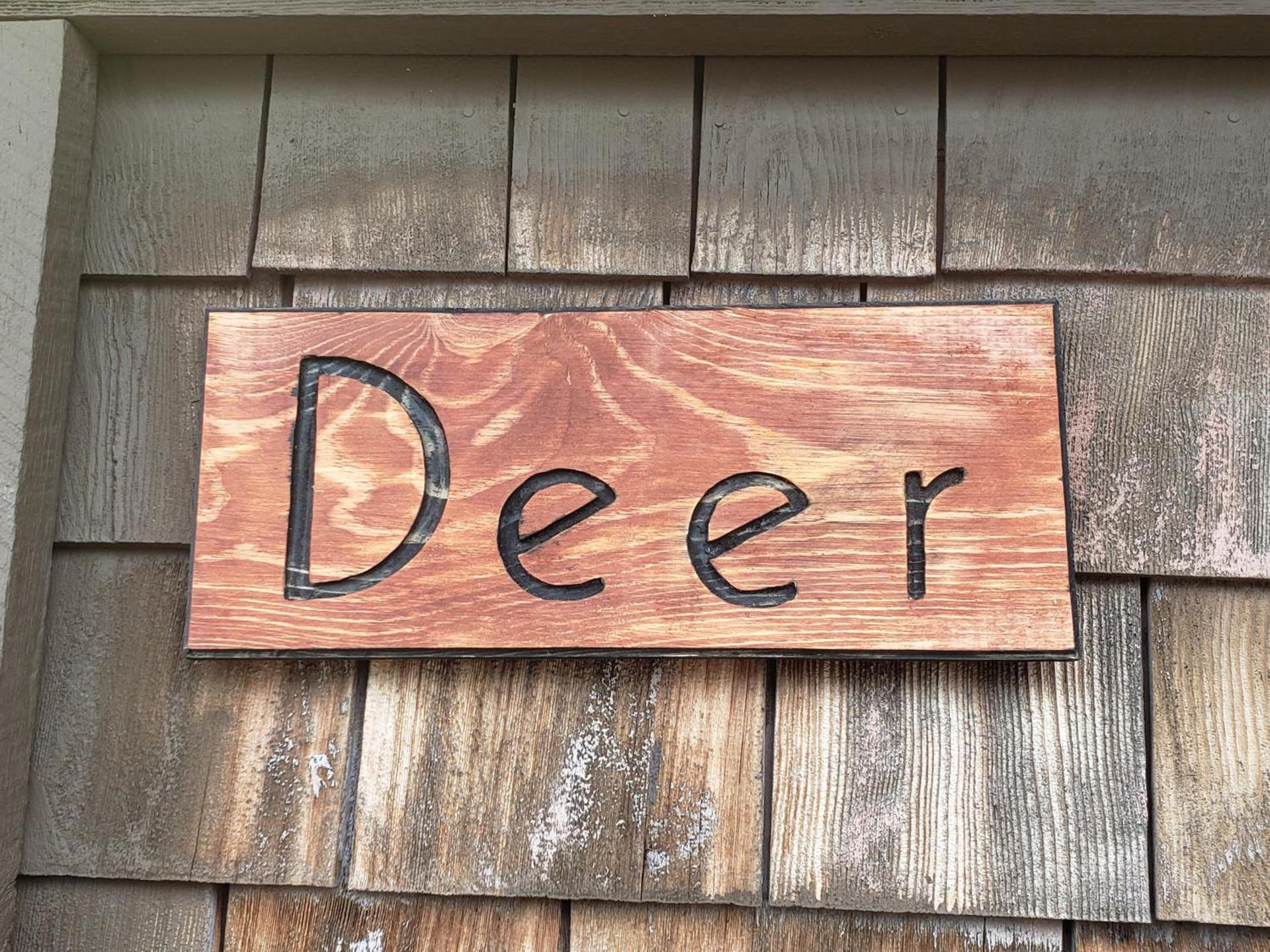 Steffen's Cedar Lodge photo 18